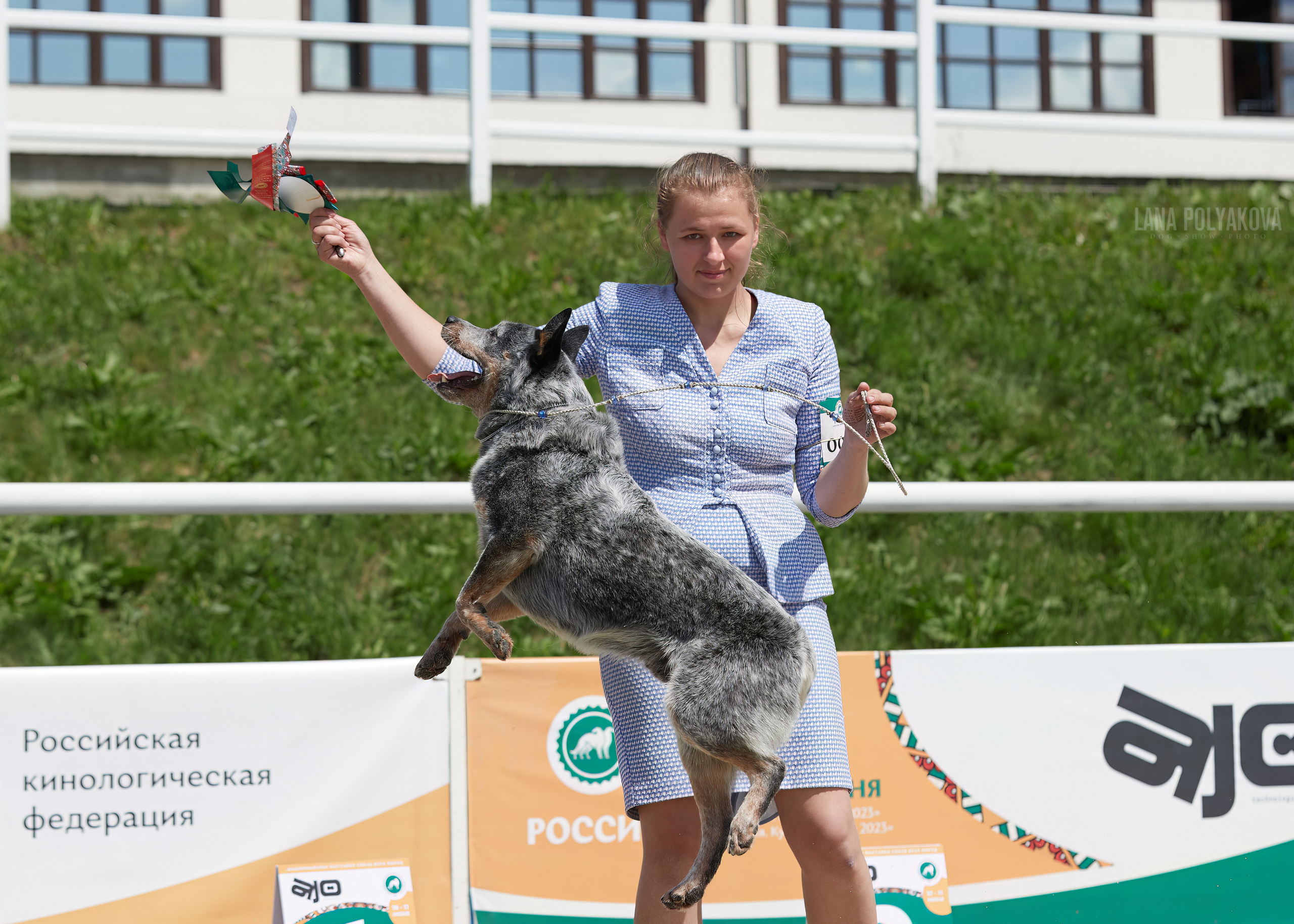 NDS «Russia. RKF Cup 2023», MOSCOW. ФОТОГРАФ-АНИМАЛИСТ l LANA POLYAKOVA