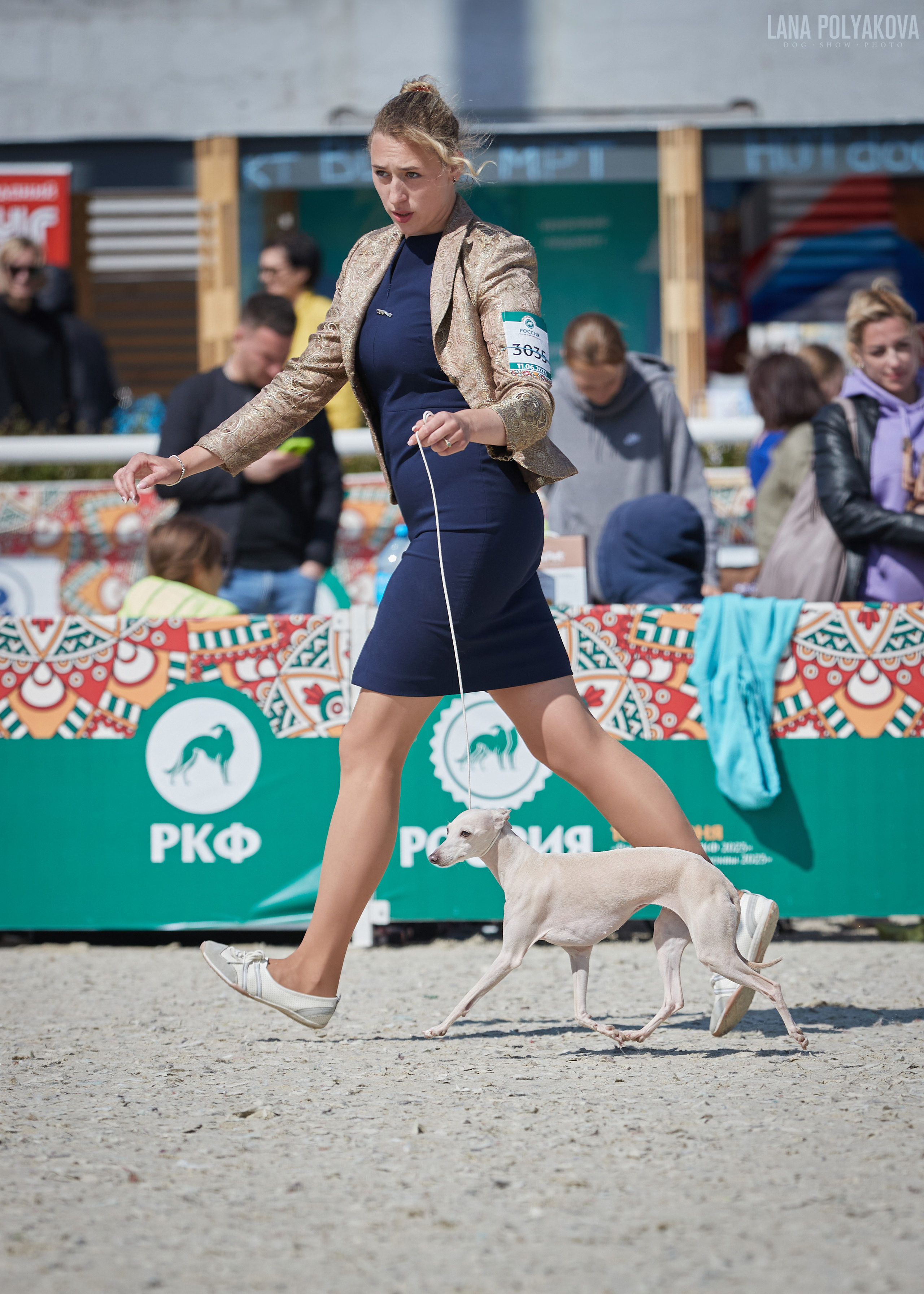 NDS «Russia. RKF Cup 2023», MOSCOW. ФОТОГРАФ-АНИМАЛИСТ l LANA POLYAKOVA