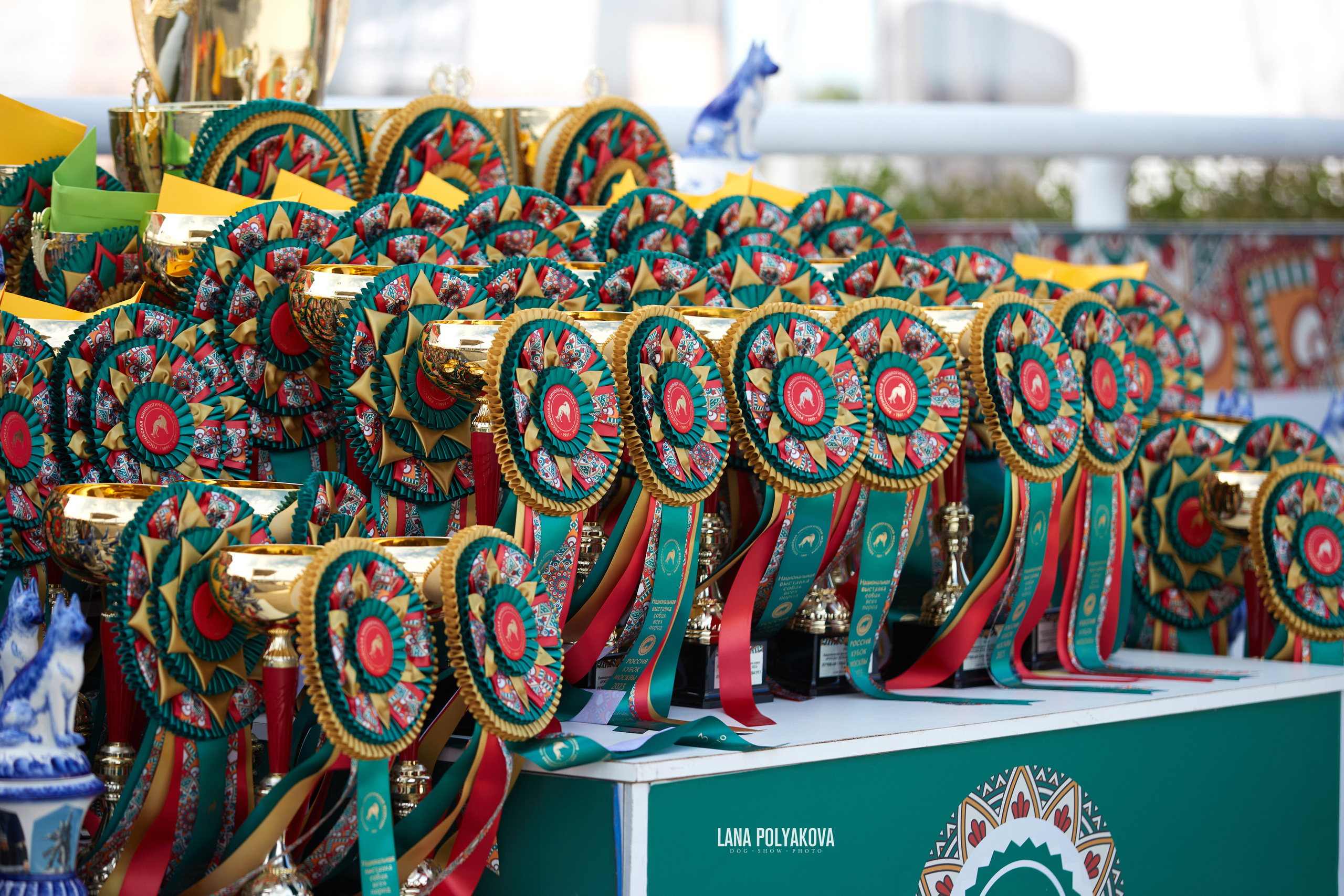 NDS «Russia. RKF Cup 2023», MOSCOW. ФОТОГРАФ-АНИМАЛИСТ l LANA POLYAKOVA