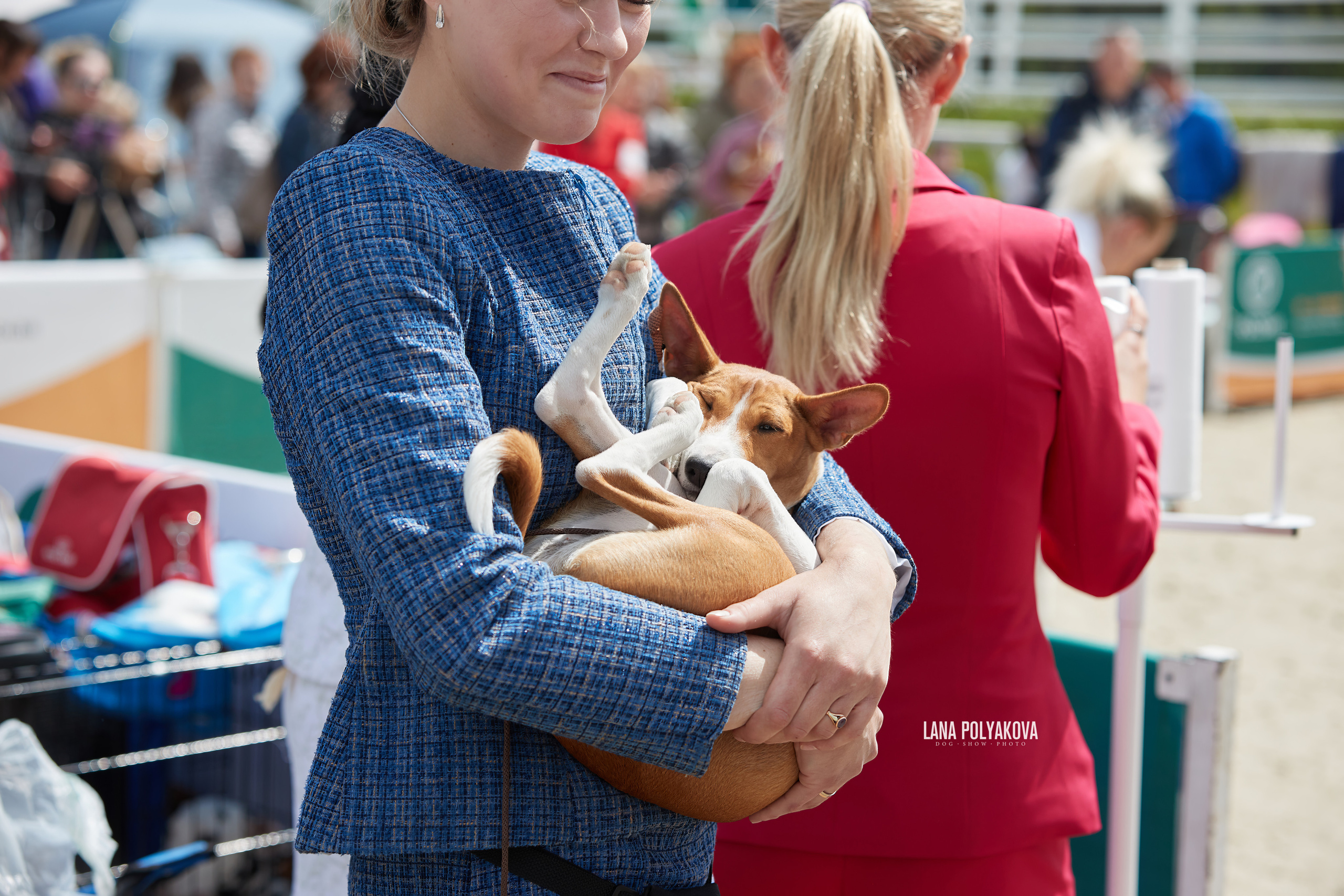 NDS «Russia. RKF Cup 2023», MOSCOW. ФОТОГРАФ-АНИМАЛИСТ l LANA POLYAKOVA