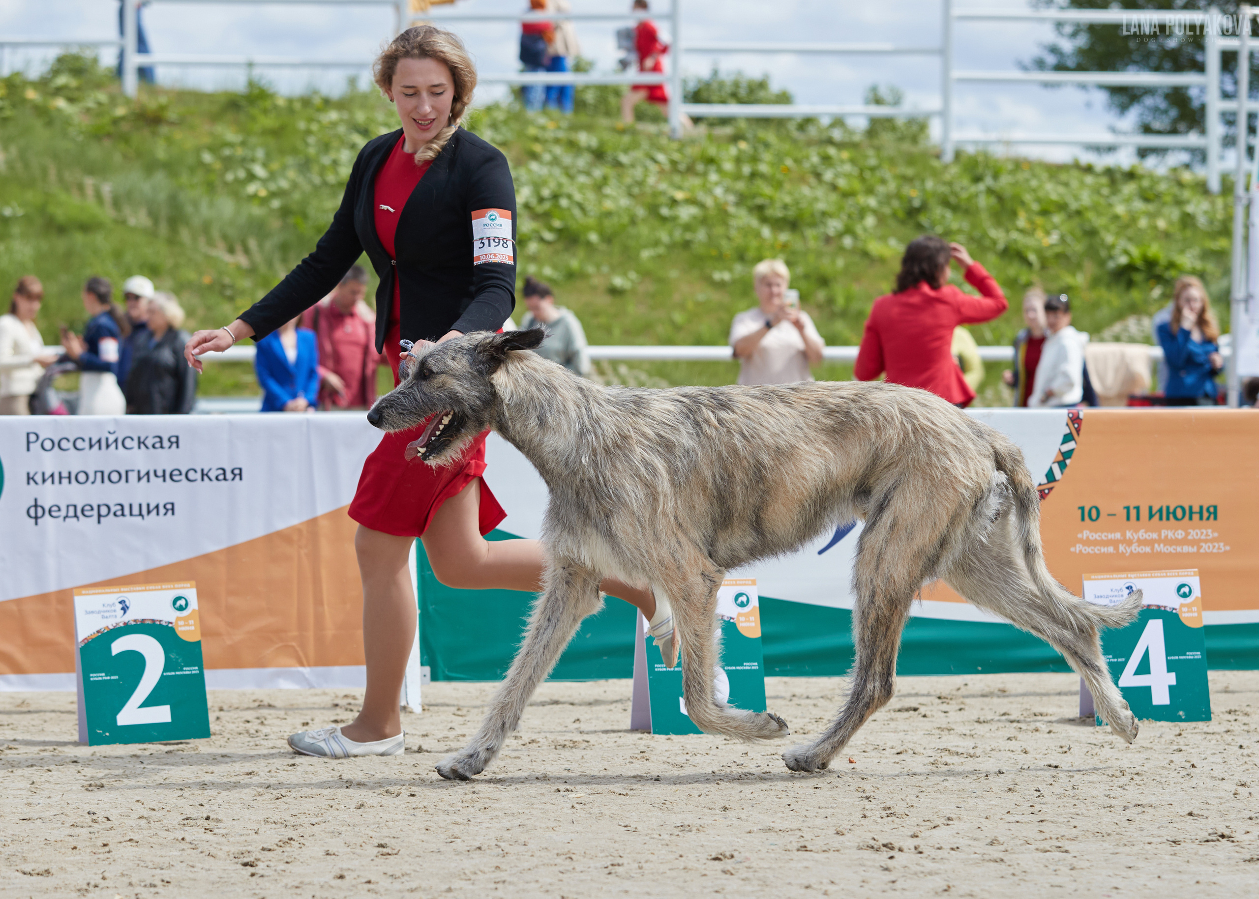 NDS «Russia. RKF Cup 2023», MOSCOW. ФОТОГРАФ-АНИМАЛИСТ l LANA POLYAKOVA