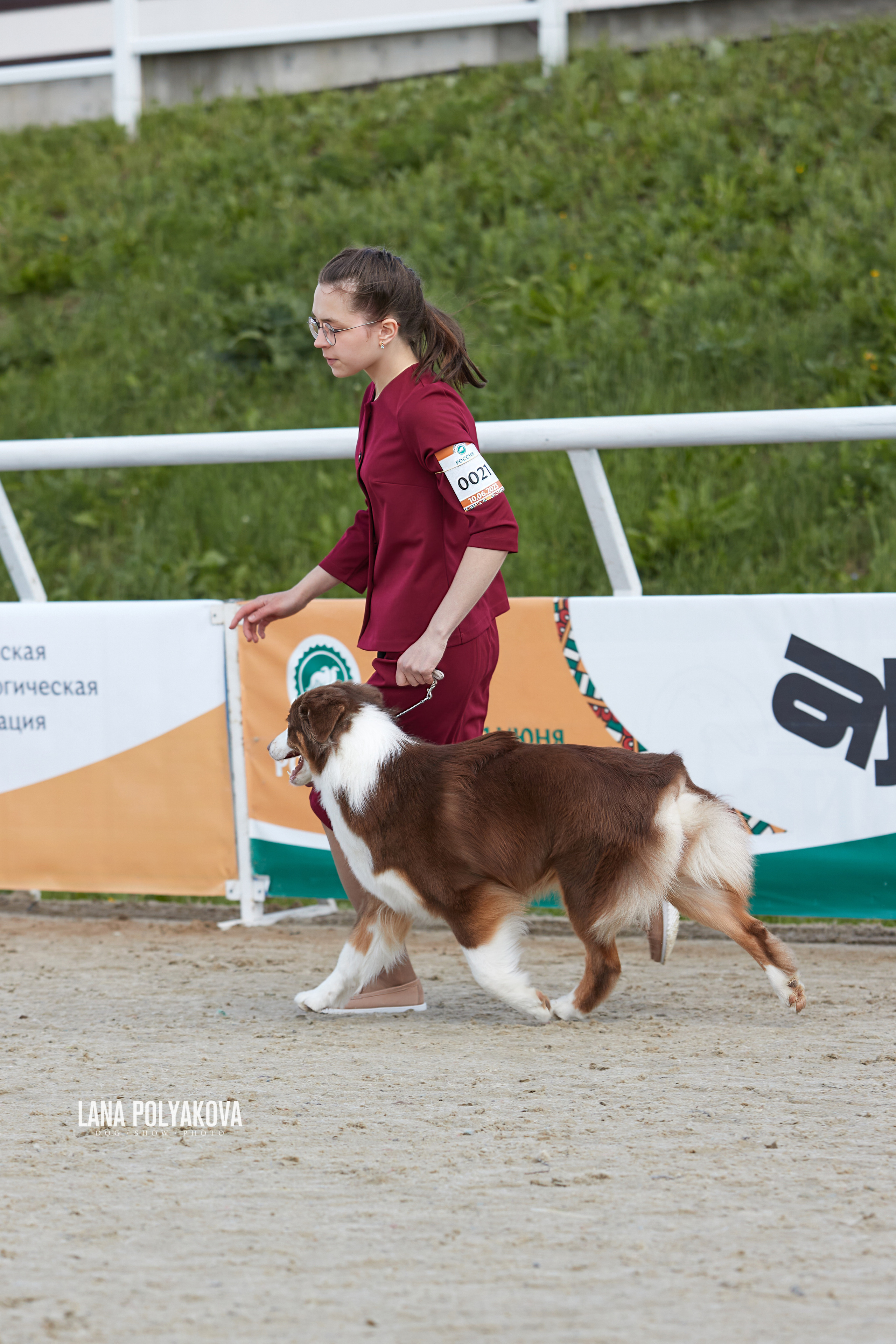 NDS «Russia. RKF Cup 2023», MOSCOW. ФОТОГРАФ-АНИМАЛИСТ l LANA POLYAKOVA
