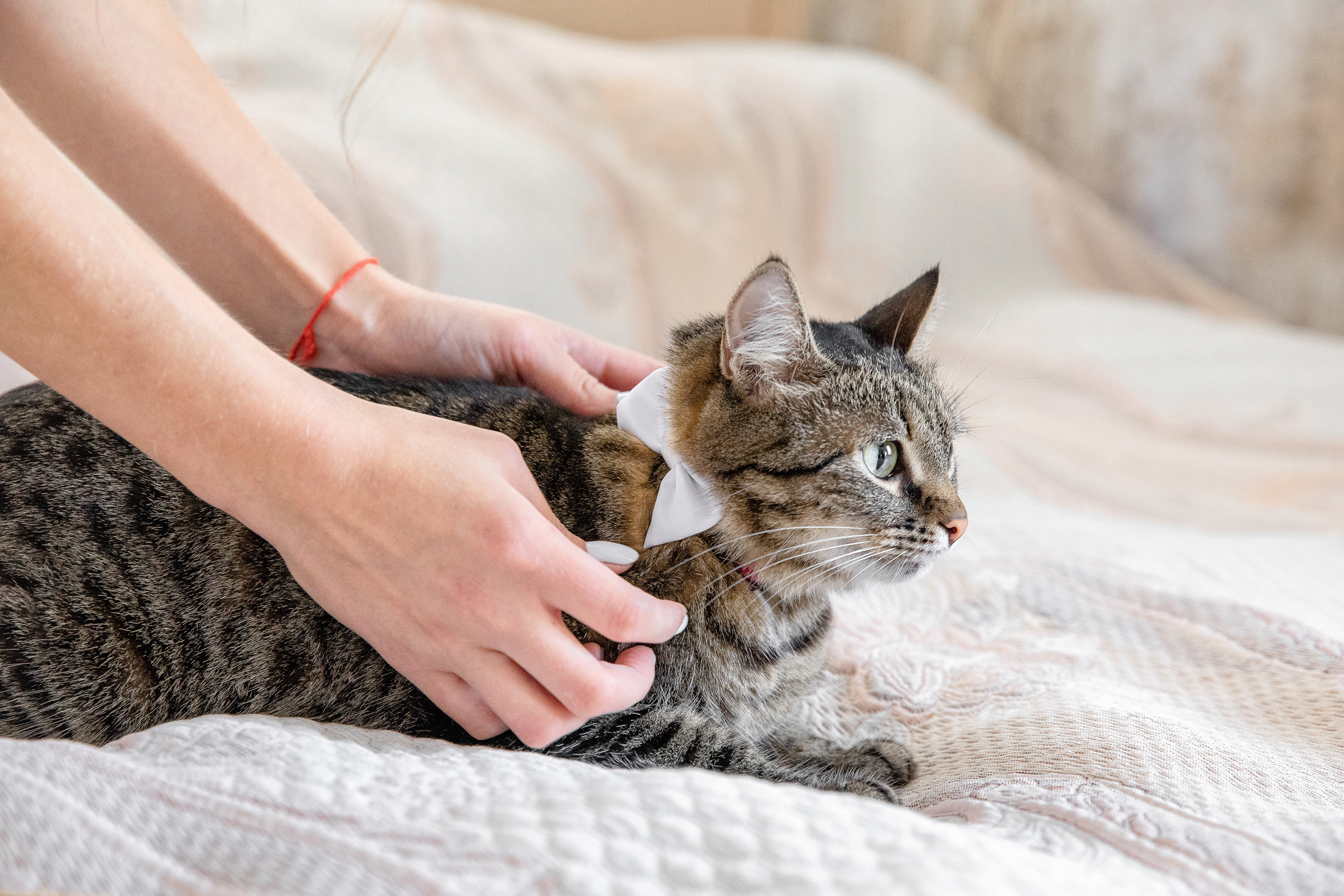 Кристина и Михаил. Это было огненно! Но не без проишествий!. Фотограф в Саратове — Свадьба, выпускной, заказать 89376325252