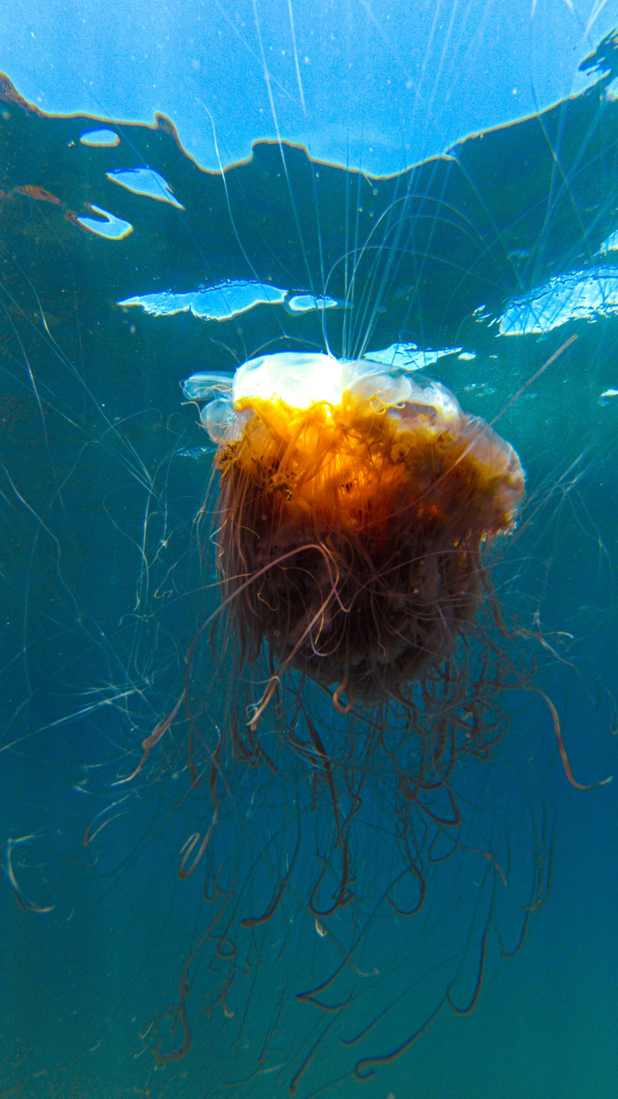 Для тех кто не боится сделать первый шаг. Дайвинг во Вьетнаме