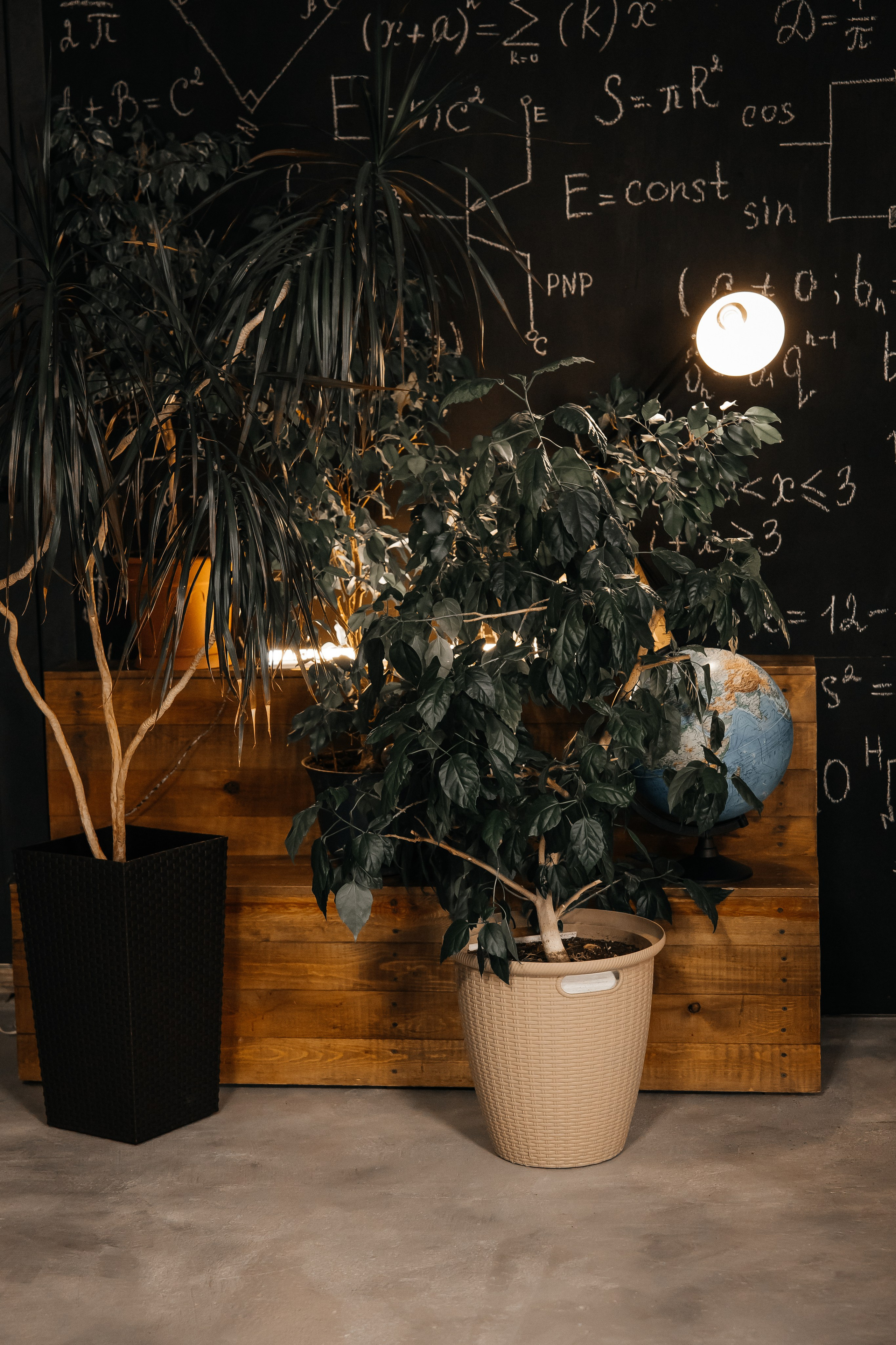 Школьный зал. Фотостудия 220 — первая в Чите фотостудия, предназначенная для работы