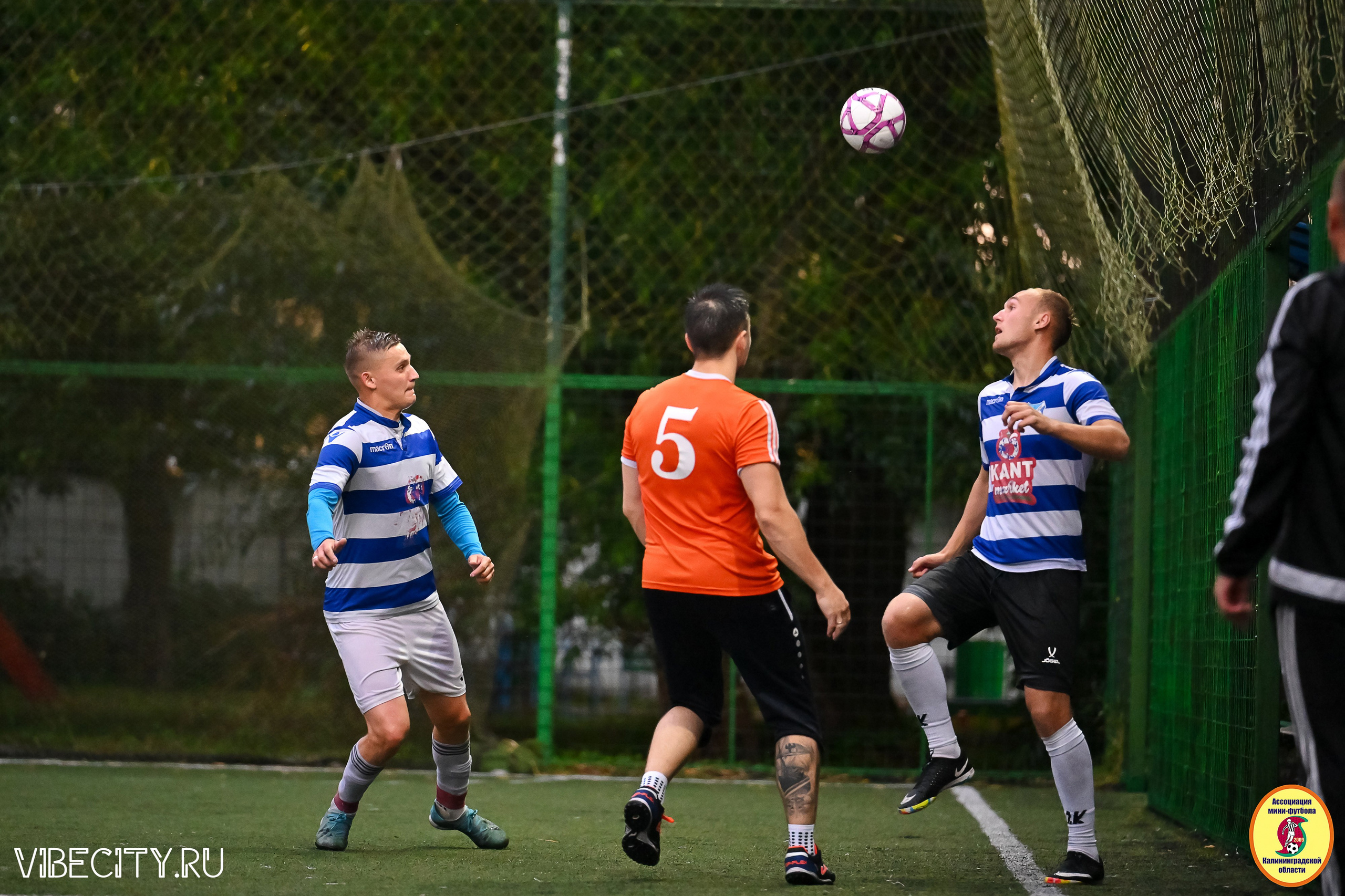 ИГРЫ МИНИ-ФУТБОЛЬНОЙ И КОРПОРАТИВНОЙ ЛИГИ. VIBECITY.RU Вайб Сити Ру Фоторепортажи Фотоотчеты Калининград