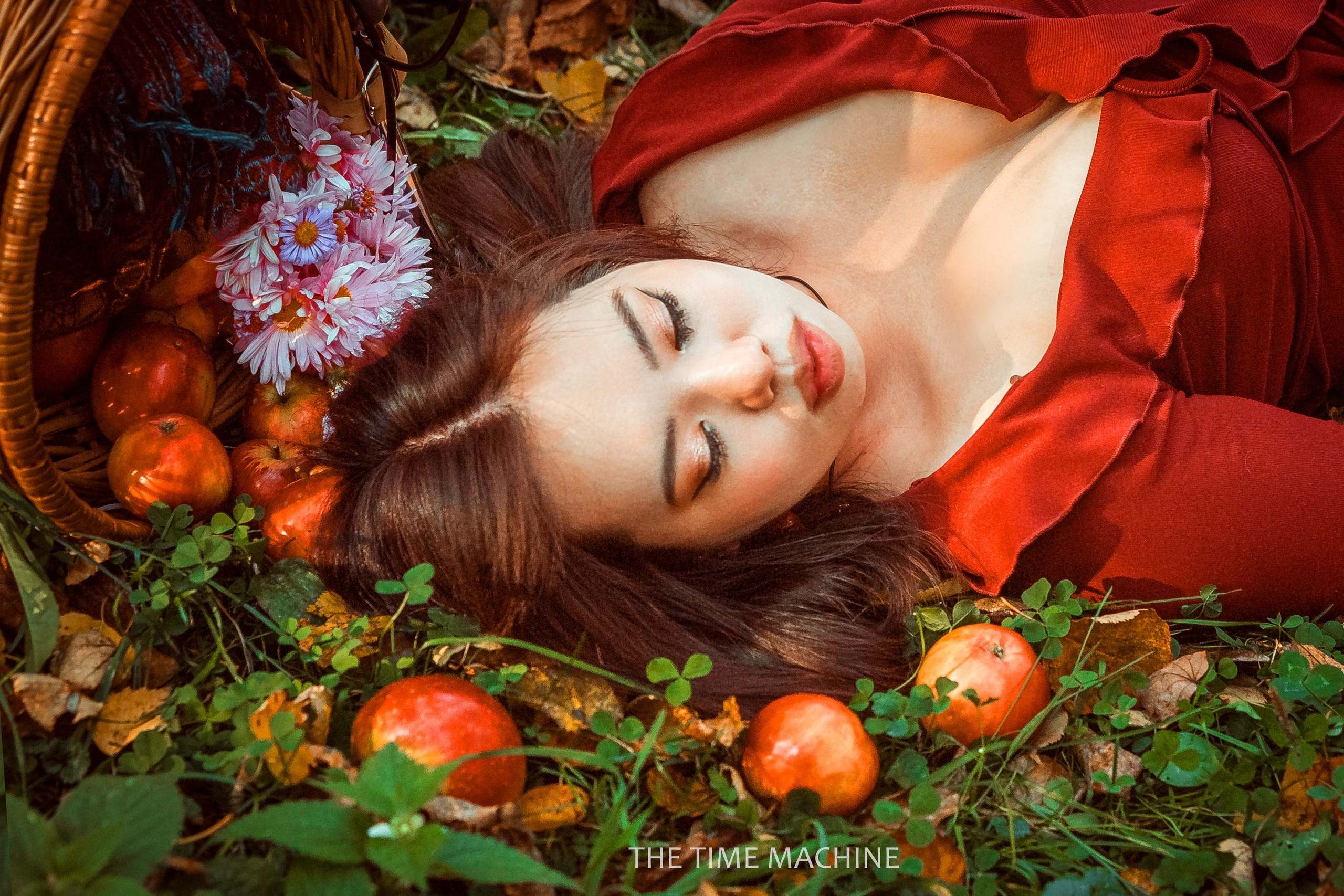 Открытки. Фотограф для маркетплейсов Михаил Бове