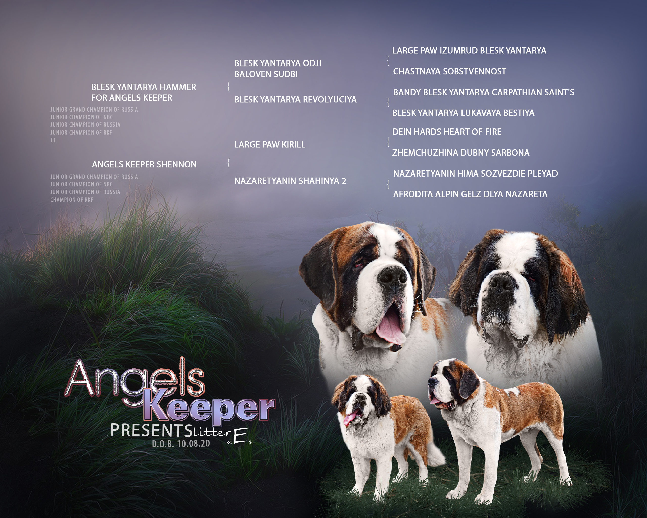 ДИЗАЙН. Фотограф-анималист Саша Вязьмина