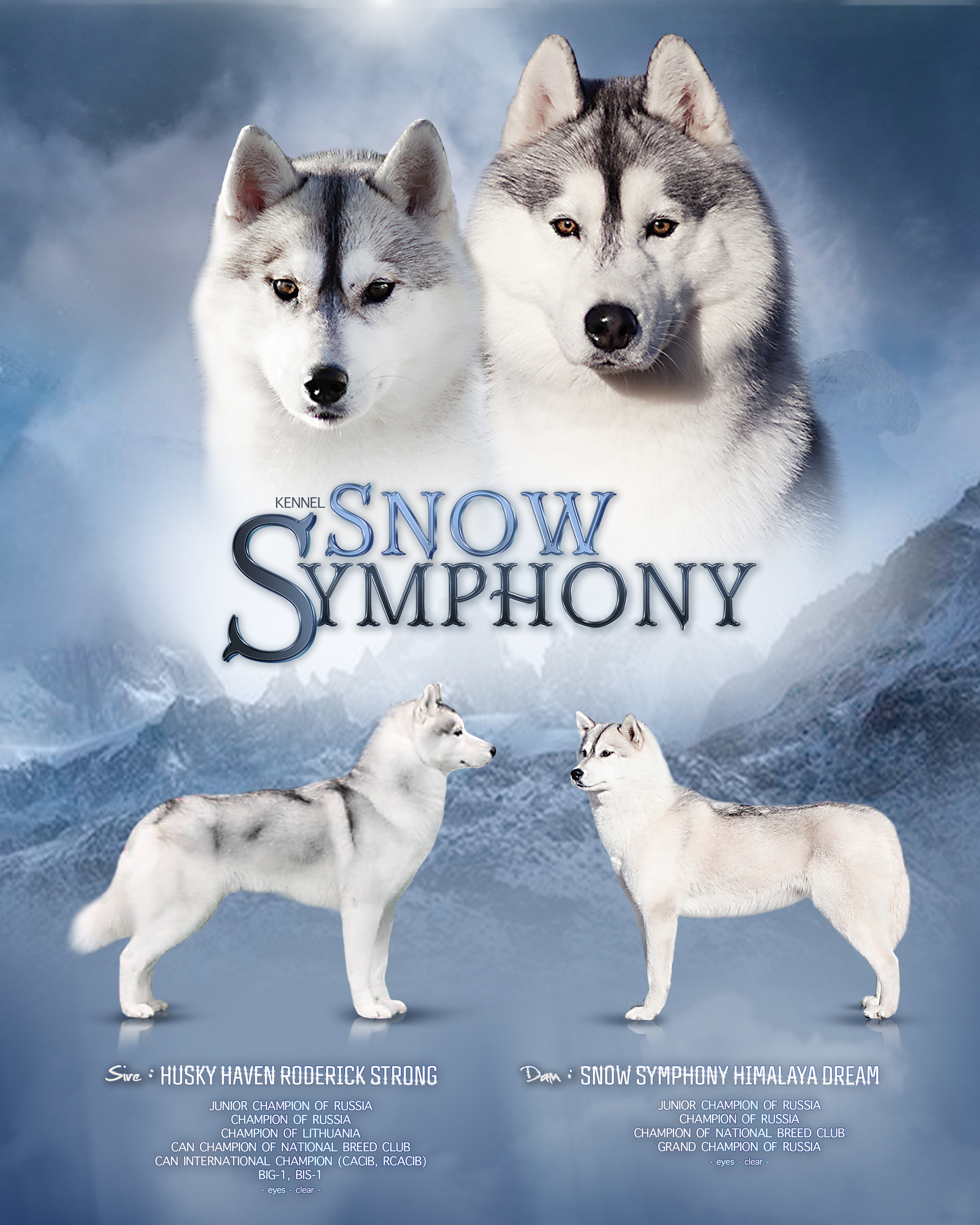 ДИЗАЙН. Фотограф-анималист Саша Вязьмина