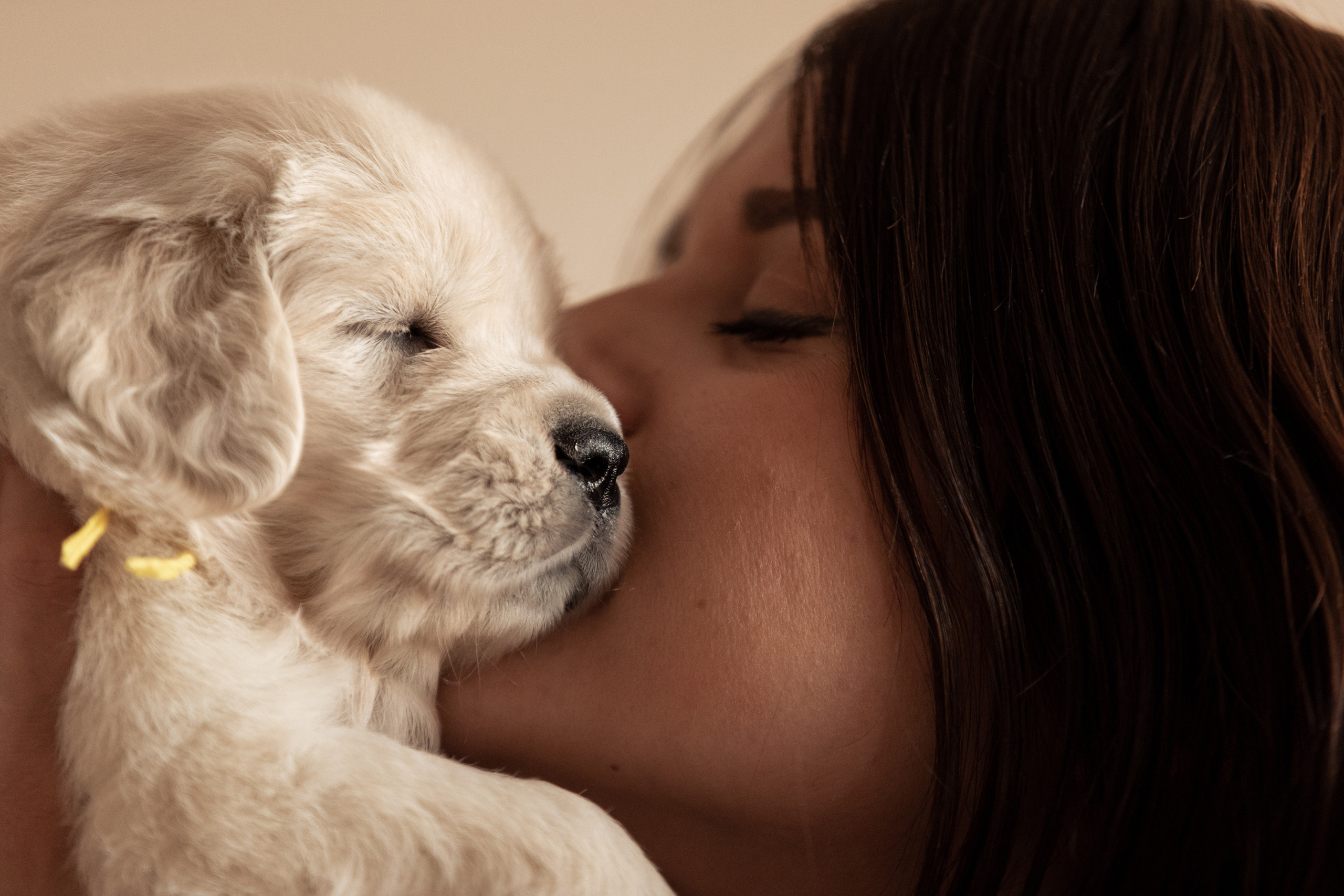 съемка для щенков на дому профессиональная фотостудия поцелуй-ка