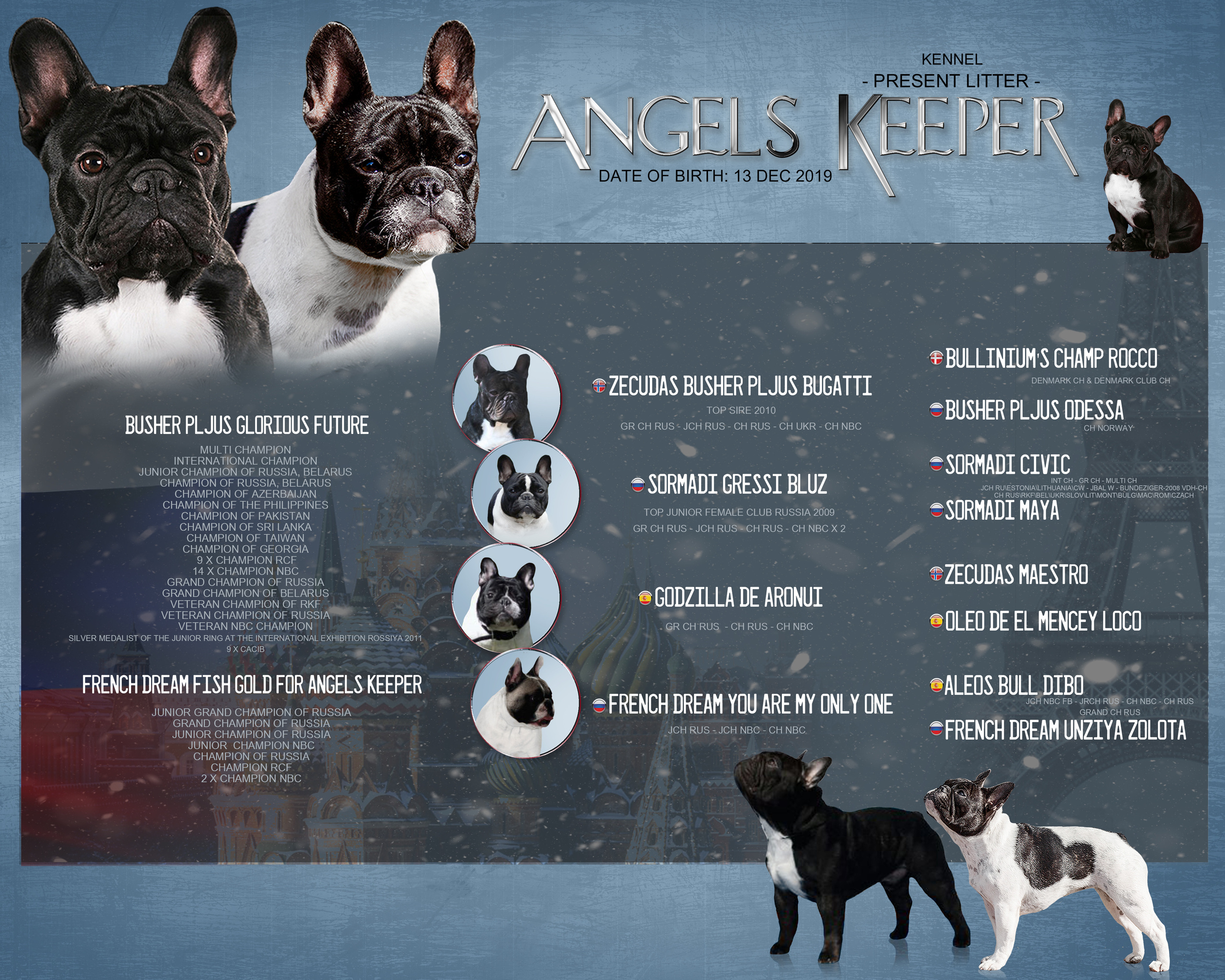 ДИЗАЙН. Фотограф-анималист Саша Вязьмина