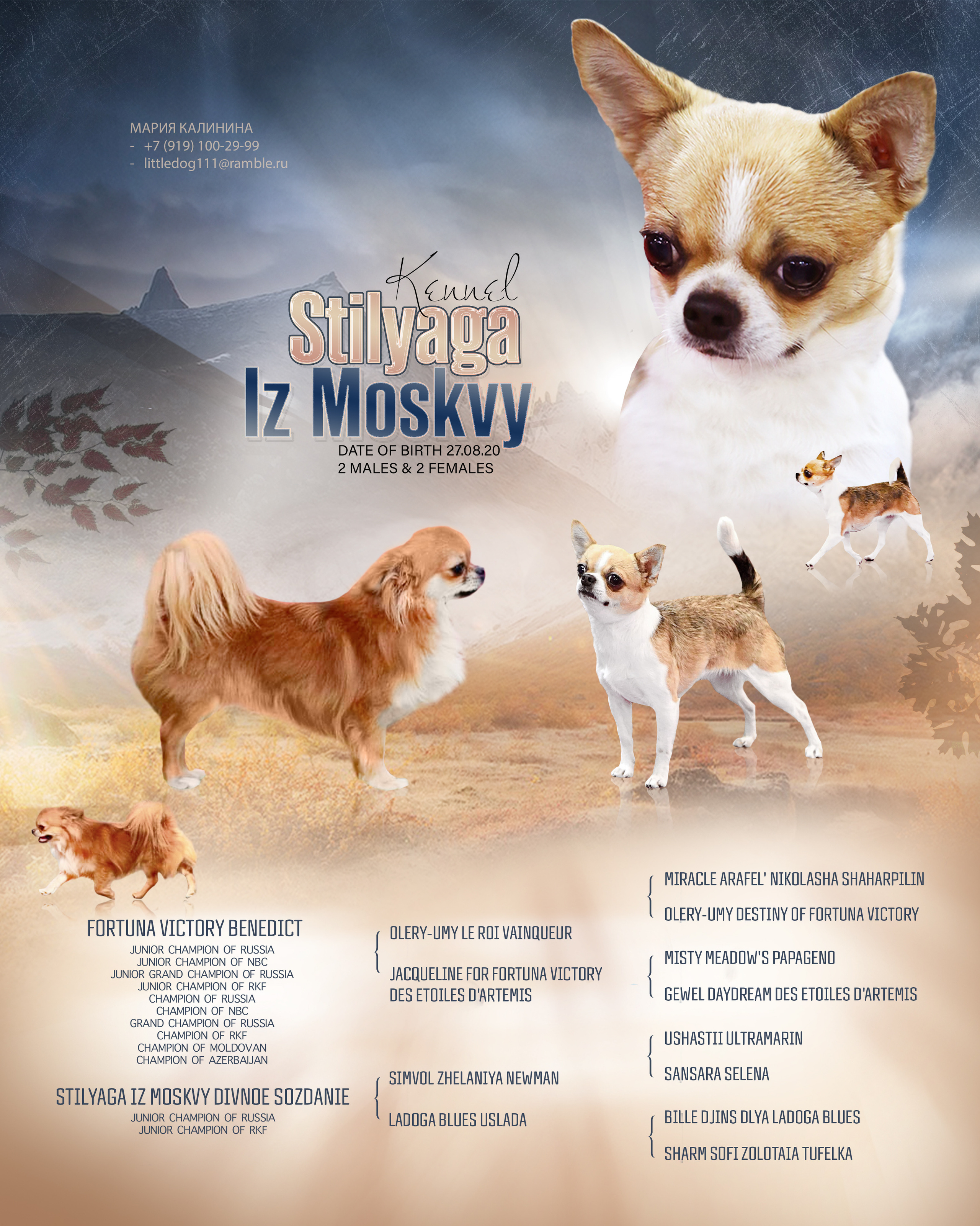 ДИЗАЙН. Фотограф-анималист Саша Вязьмина