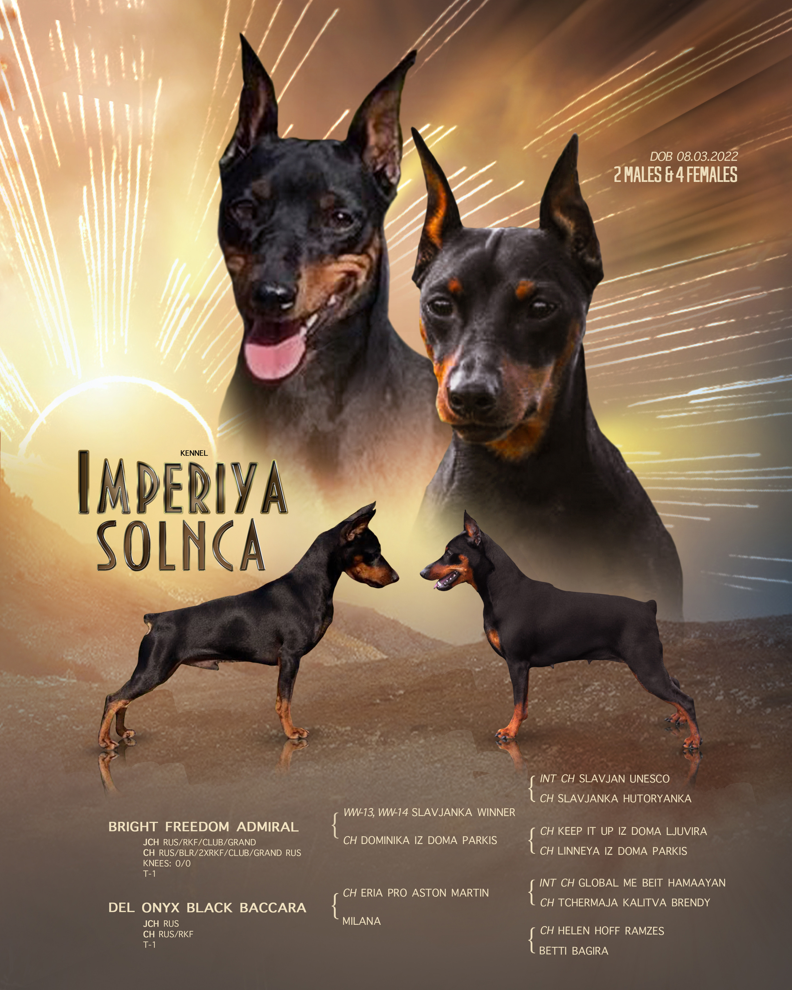 ДИЗАЙН. Фотограф-анималист Саша Вязьмина