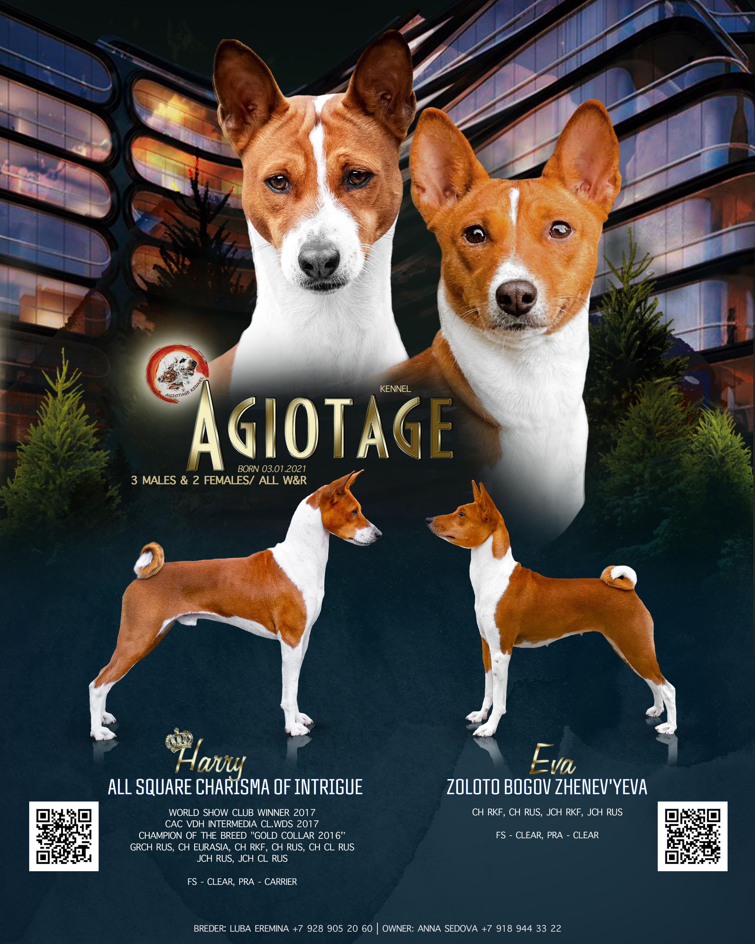 ДИЗАЙН. Фотограф-анималист Саша Вязьмина