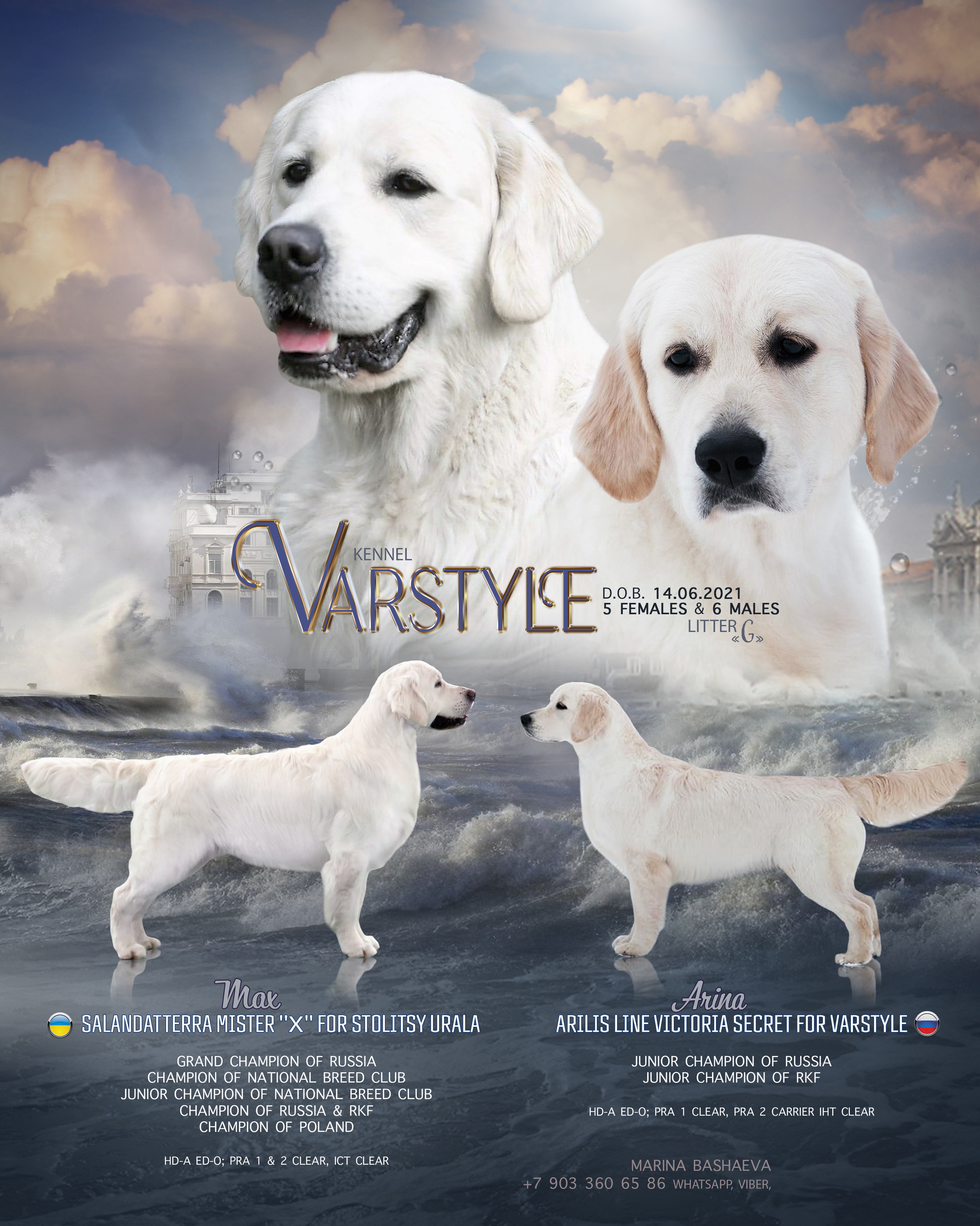 ДИЗАЙН. Фотограф-анималист Саша Вязьмина