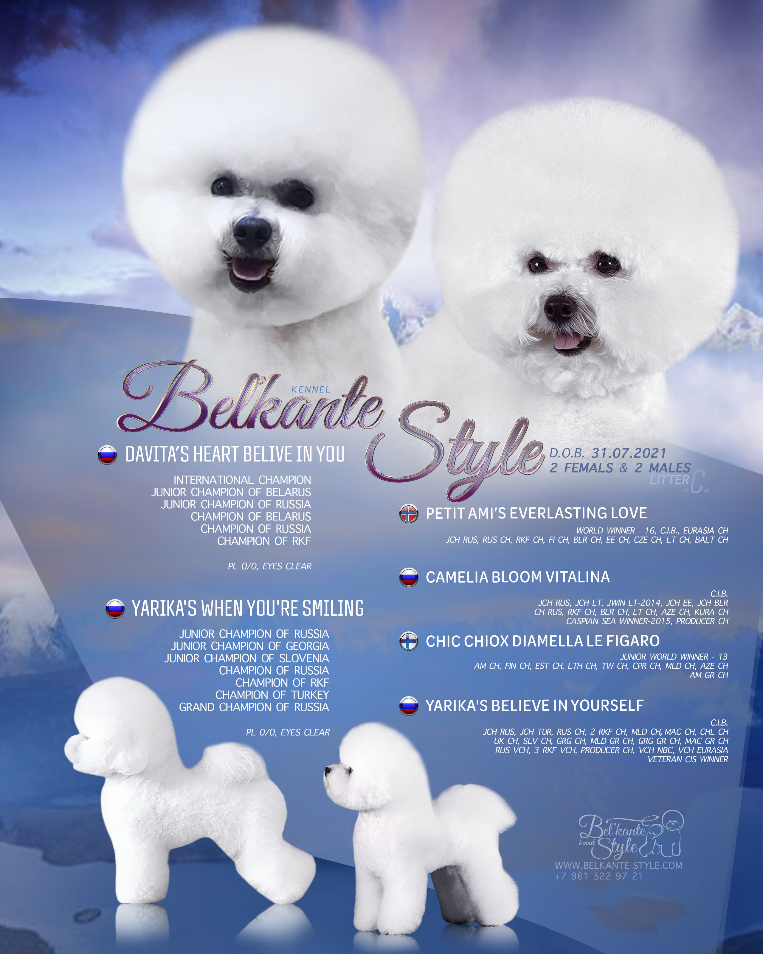 ДИЗАЙН. Фотограф-анималист Саша Вязьмина