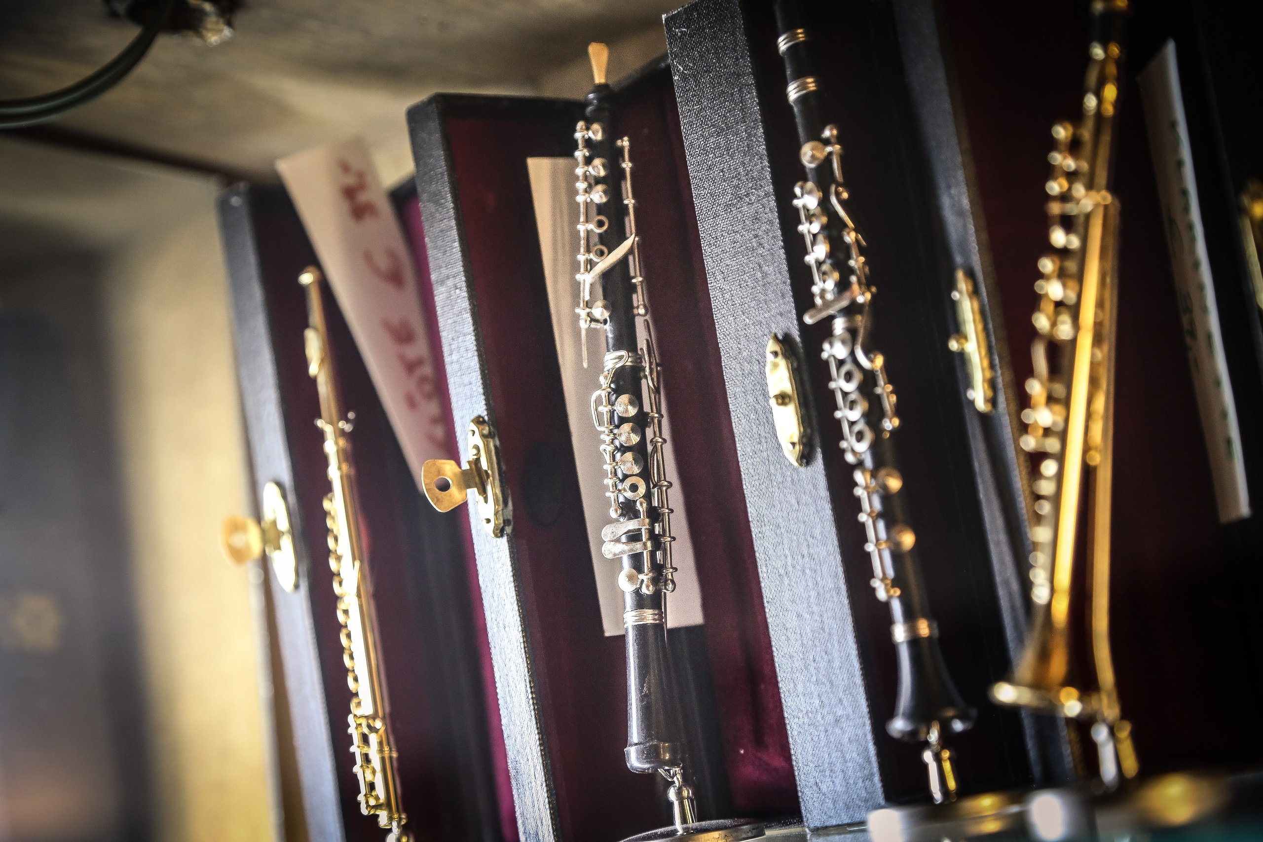 Австрия: Вена — знакомство. Дарья Письменюк / Darya Leitstern — фотограф, музыкант, журналист, путешественник