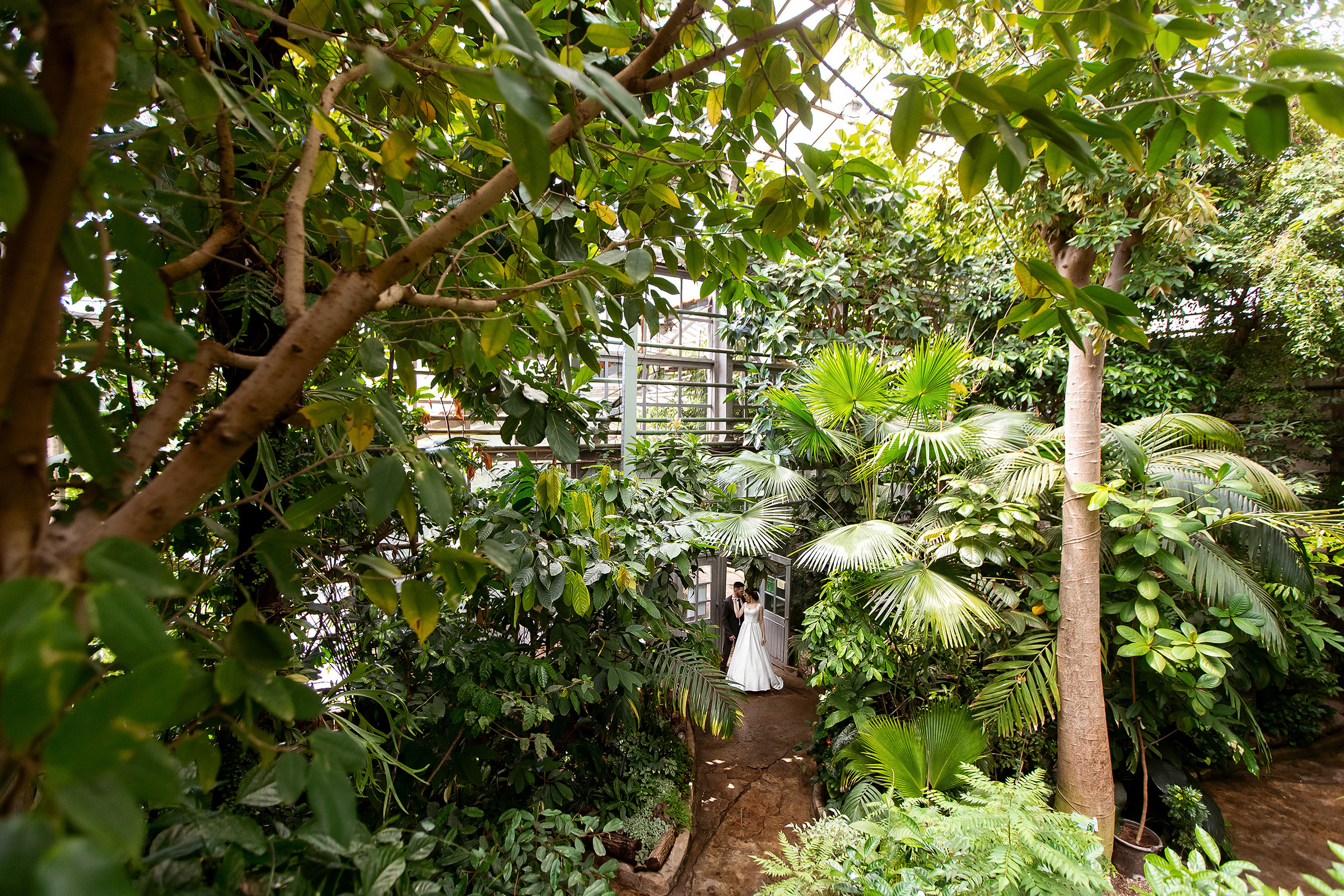 Александр и Александра. Свадебный и семейный фотограф Алексей Аверин