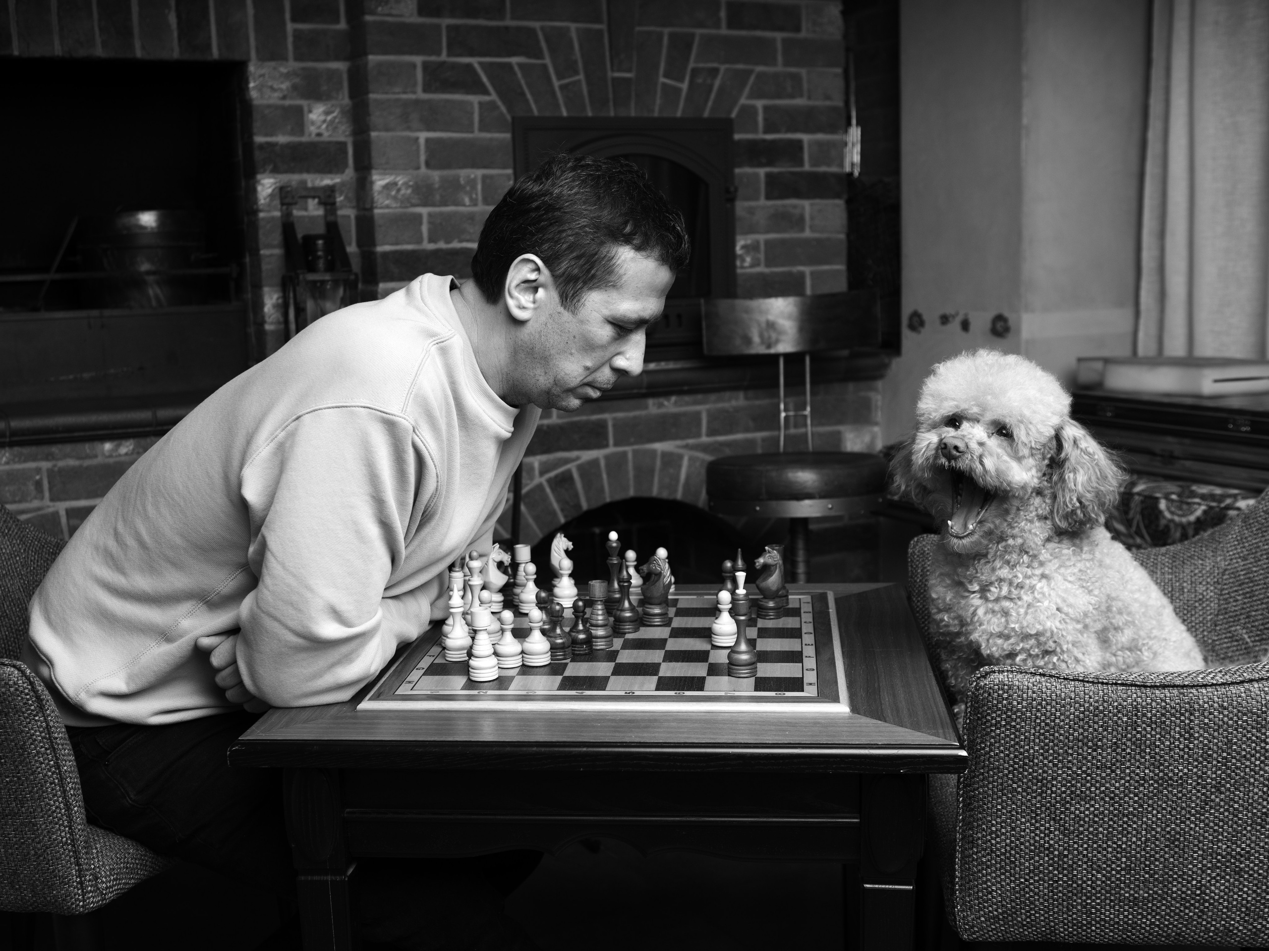 У любви четыре лапы. Фотограф Михаил Стенин