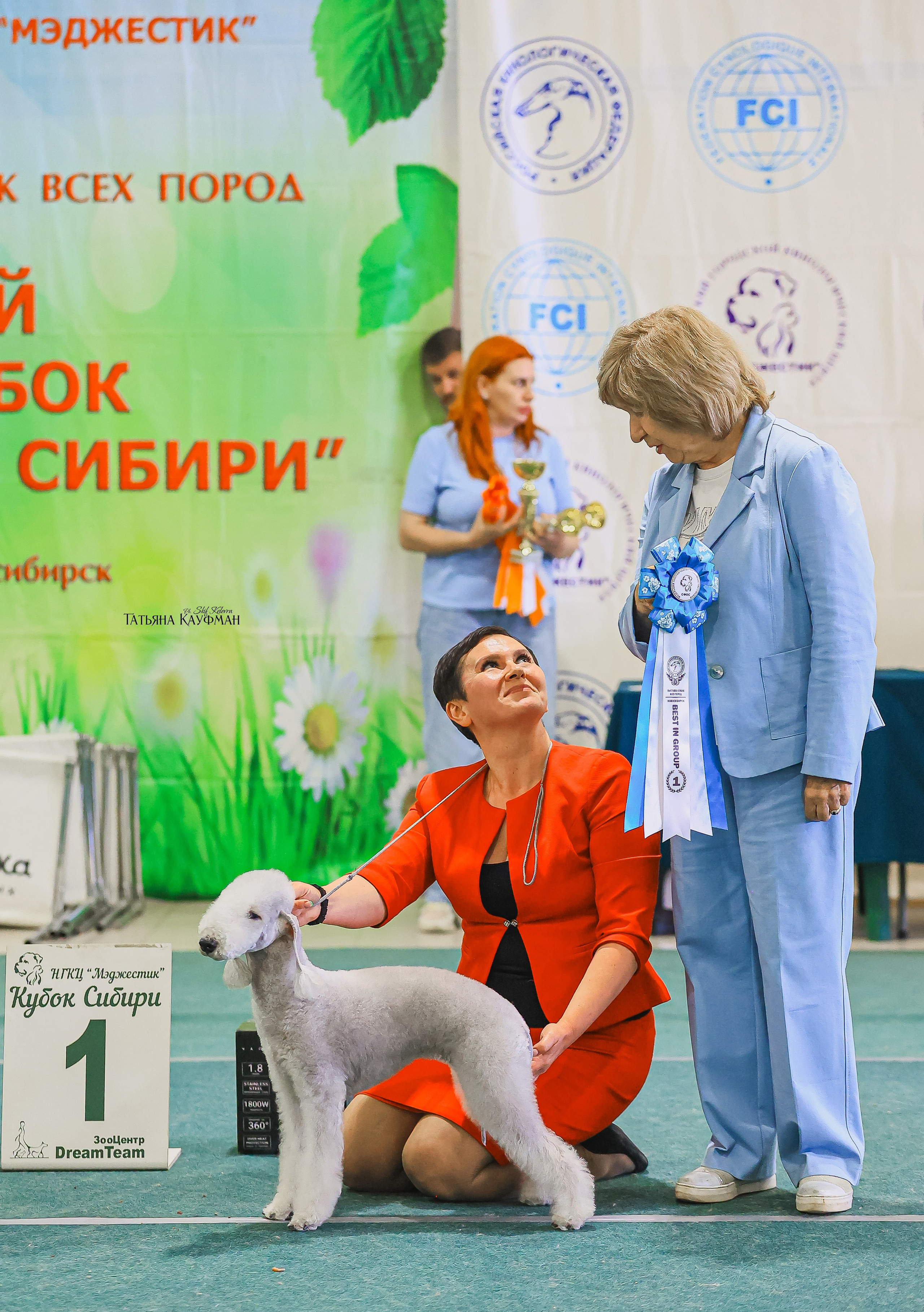 13.07.25 2х выставки собак. Новосибирск. «Кубок Сибири»