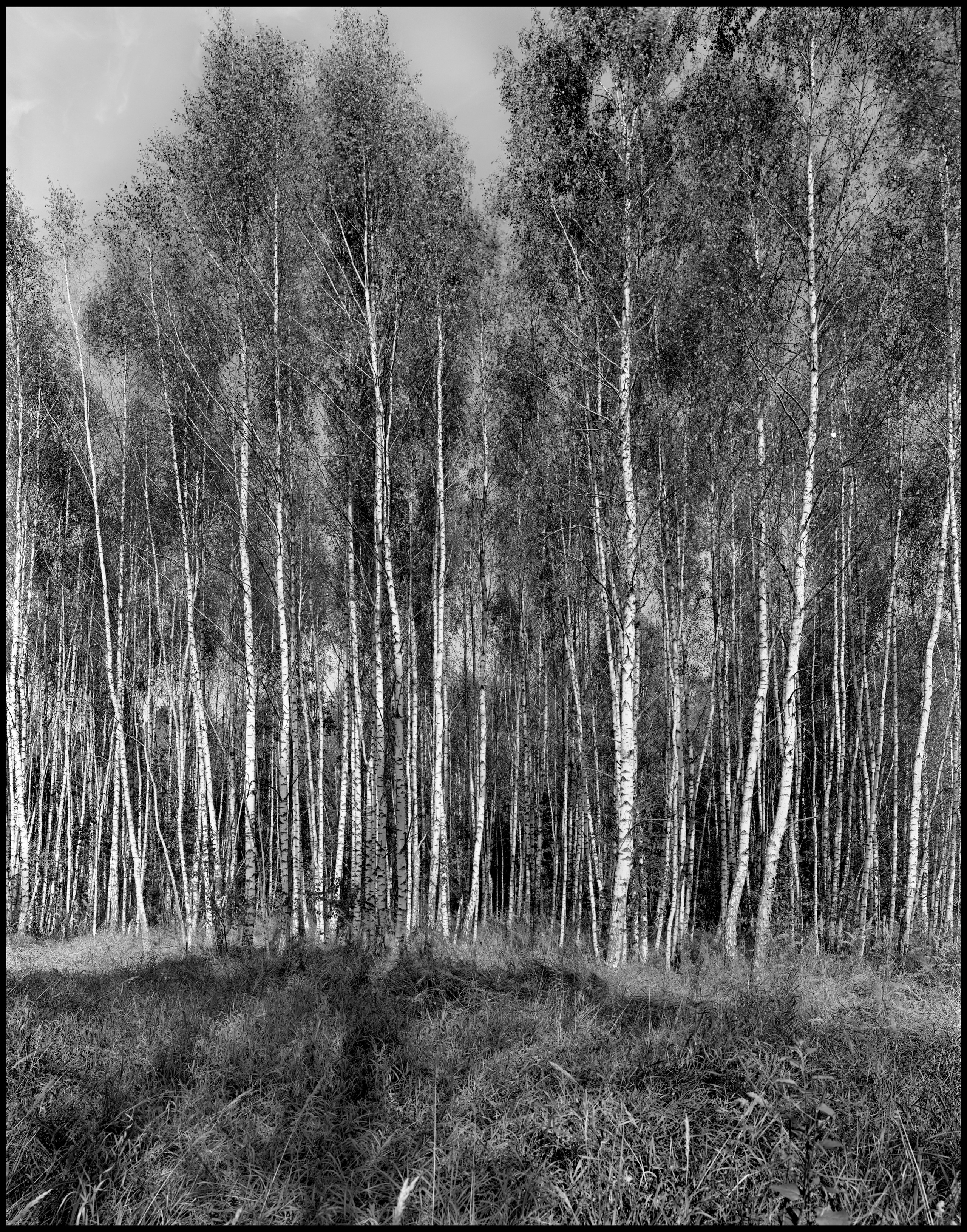 Sergey Kondriuk art-photographer | artist