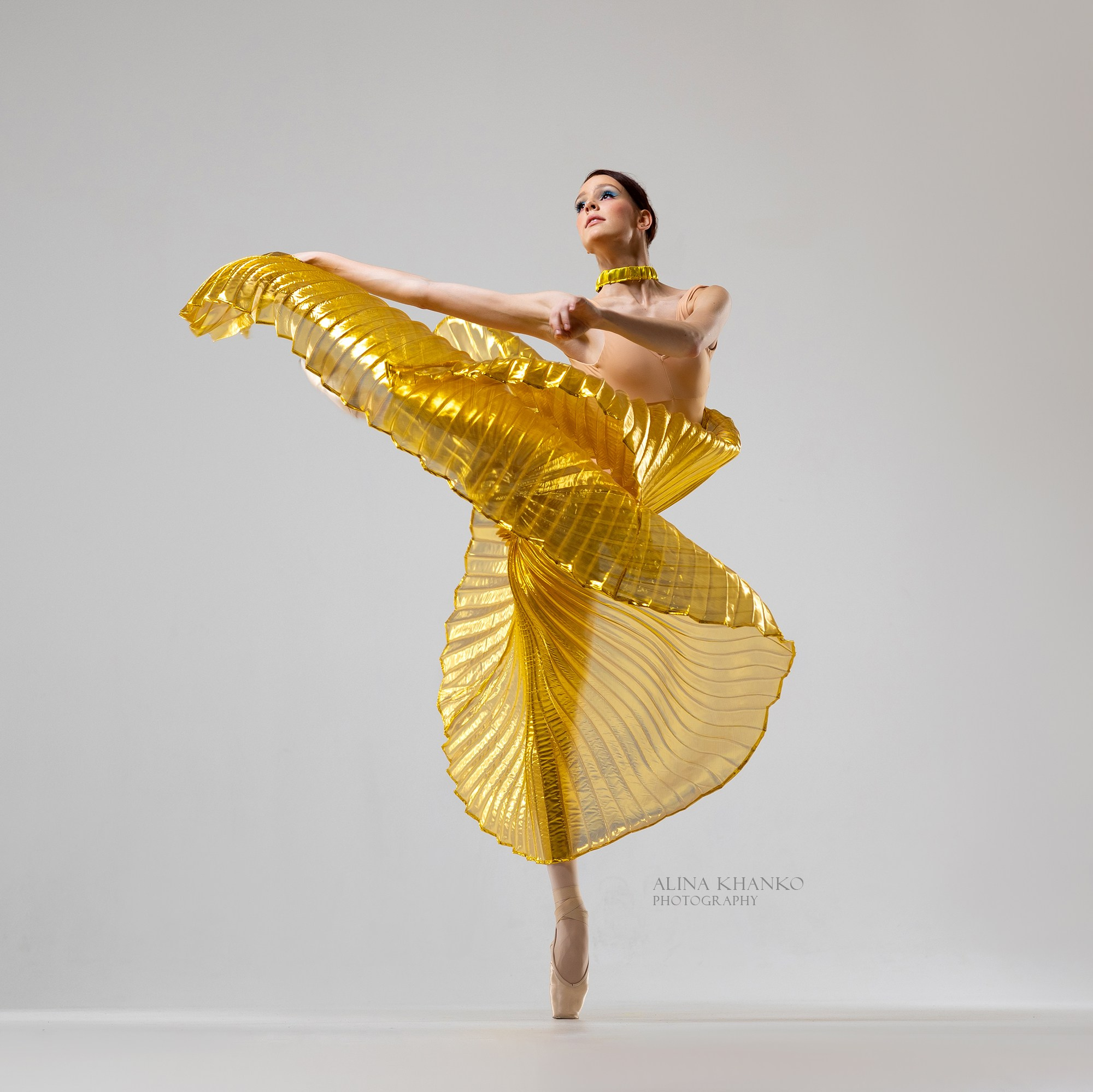 Крылья золотые напрокат бесплатно. Балетный фотограф Алина Ханько — Душа Балета