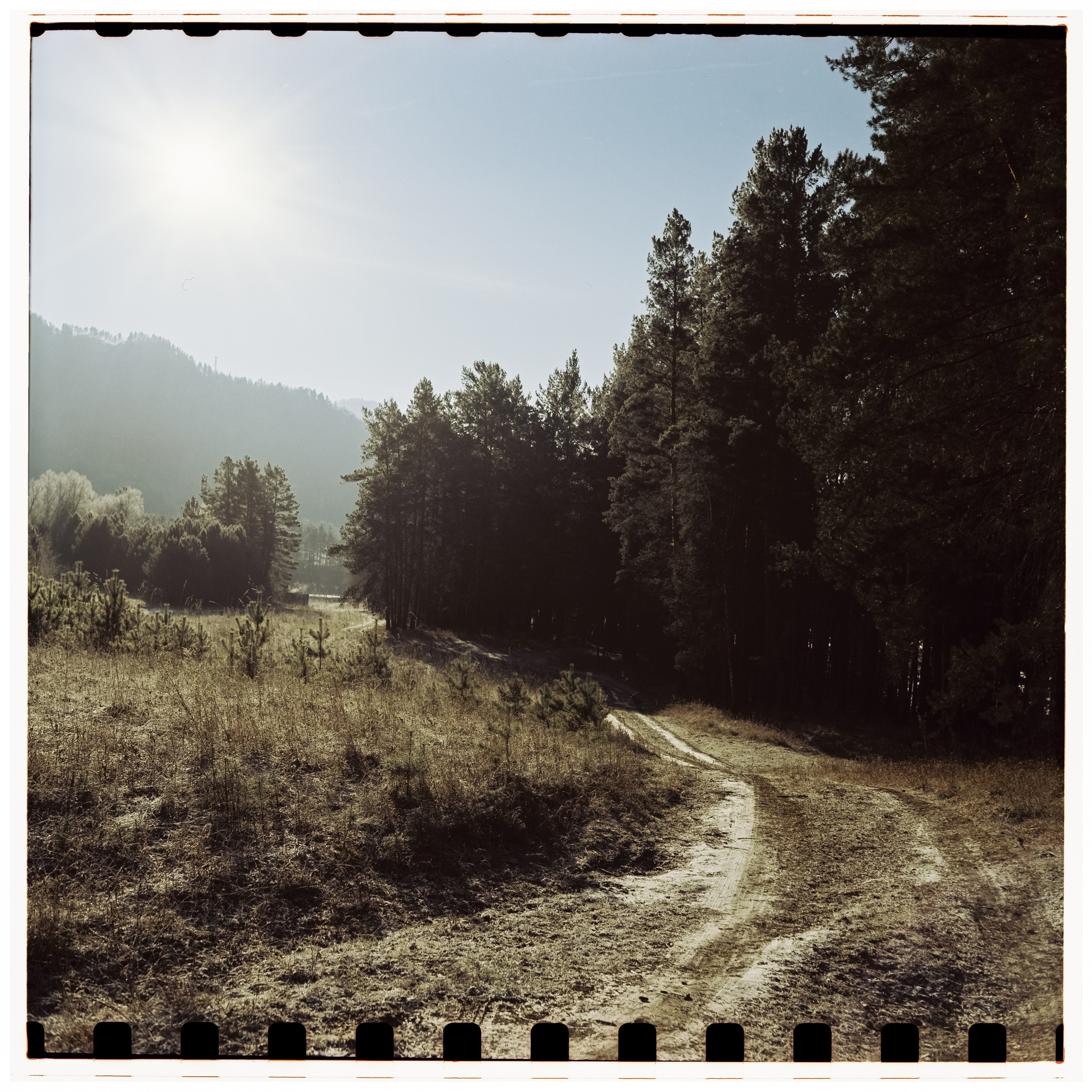 Чемальский тракт, Кедровый остров, Семинская поляна, Coffe Bus