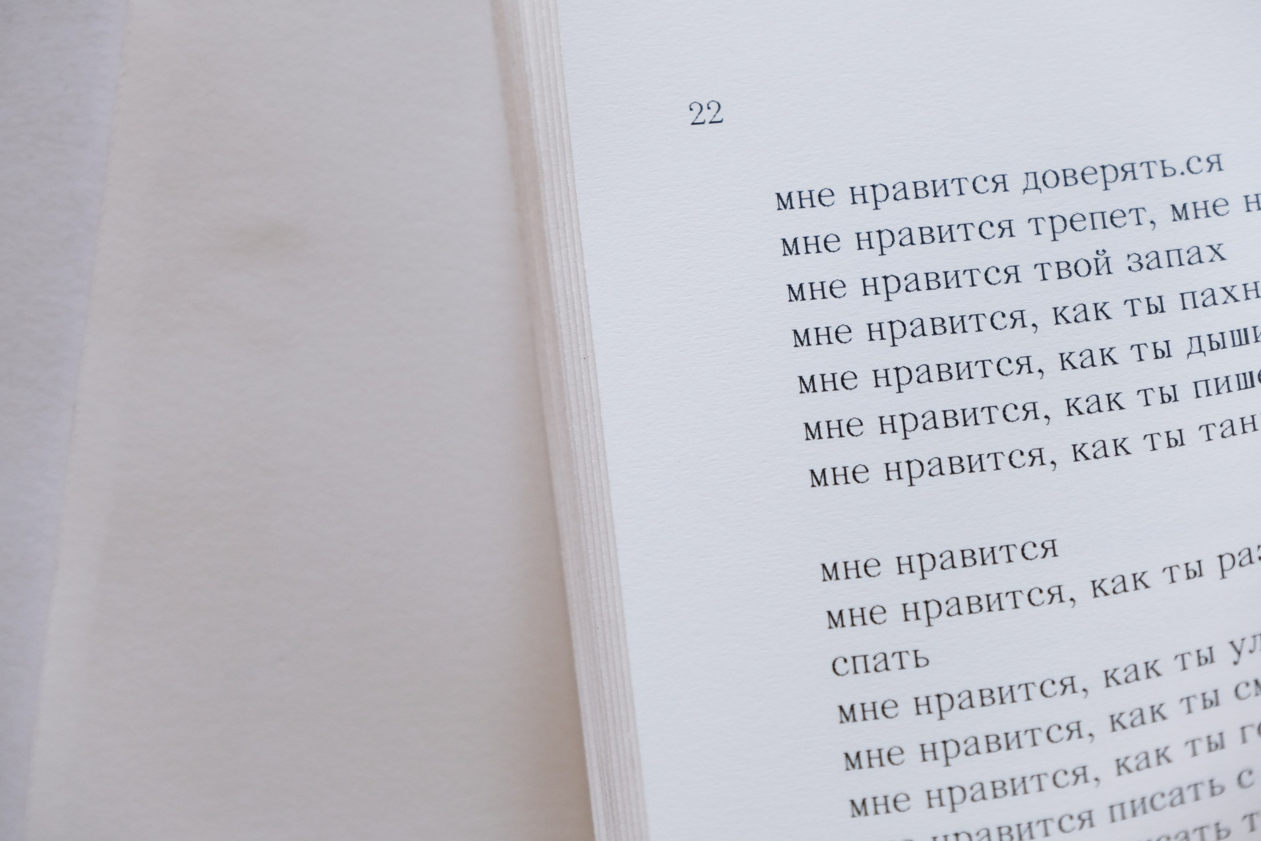 Книжка с буквами. Аня белка — художница и фотограф