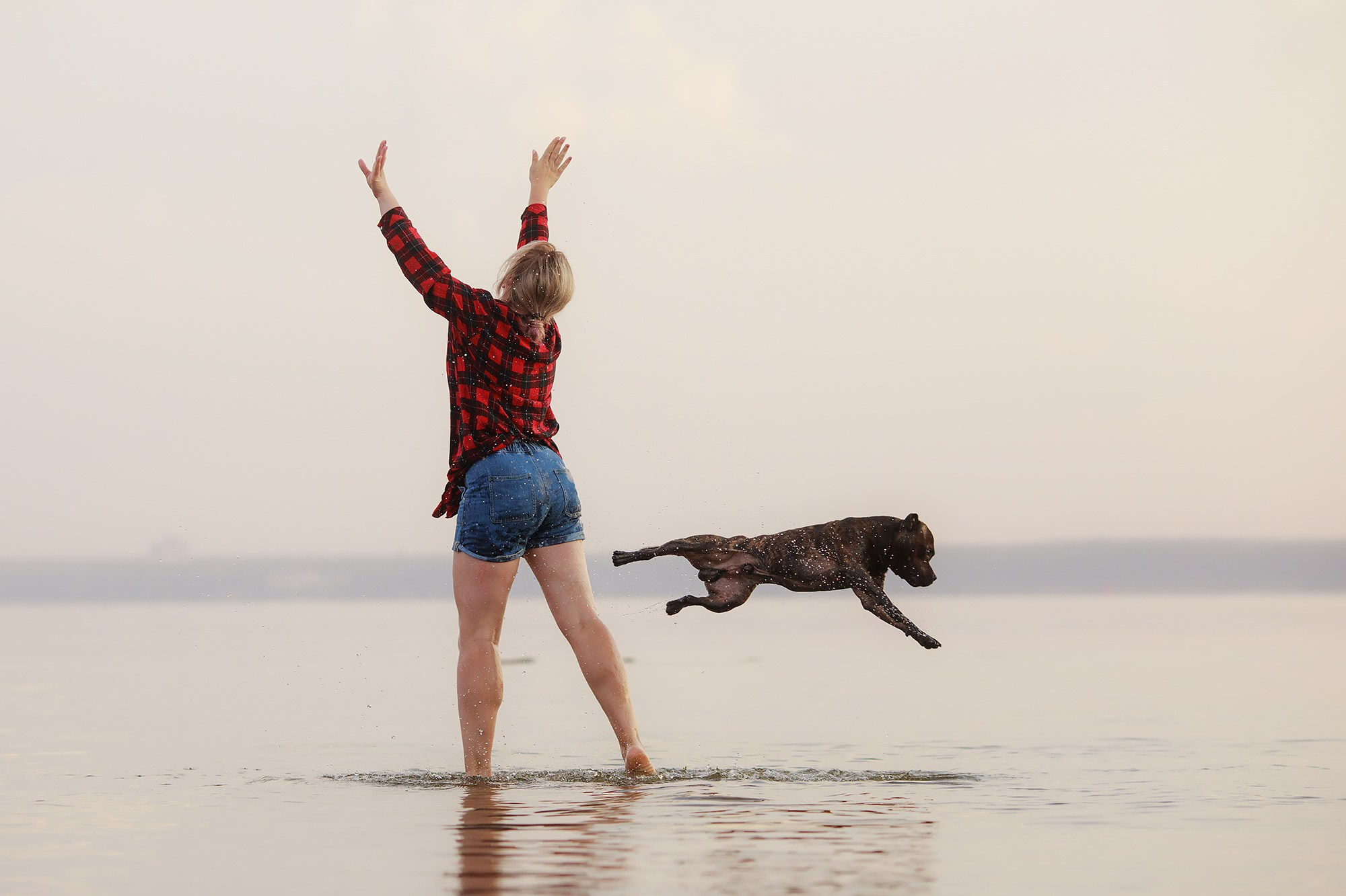 Фотограф-анималист Mary Mart — Москва, Питер
