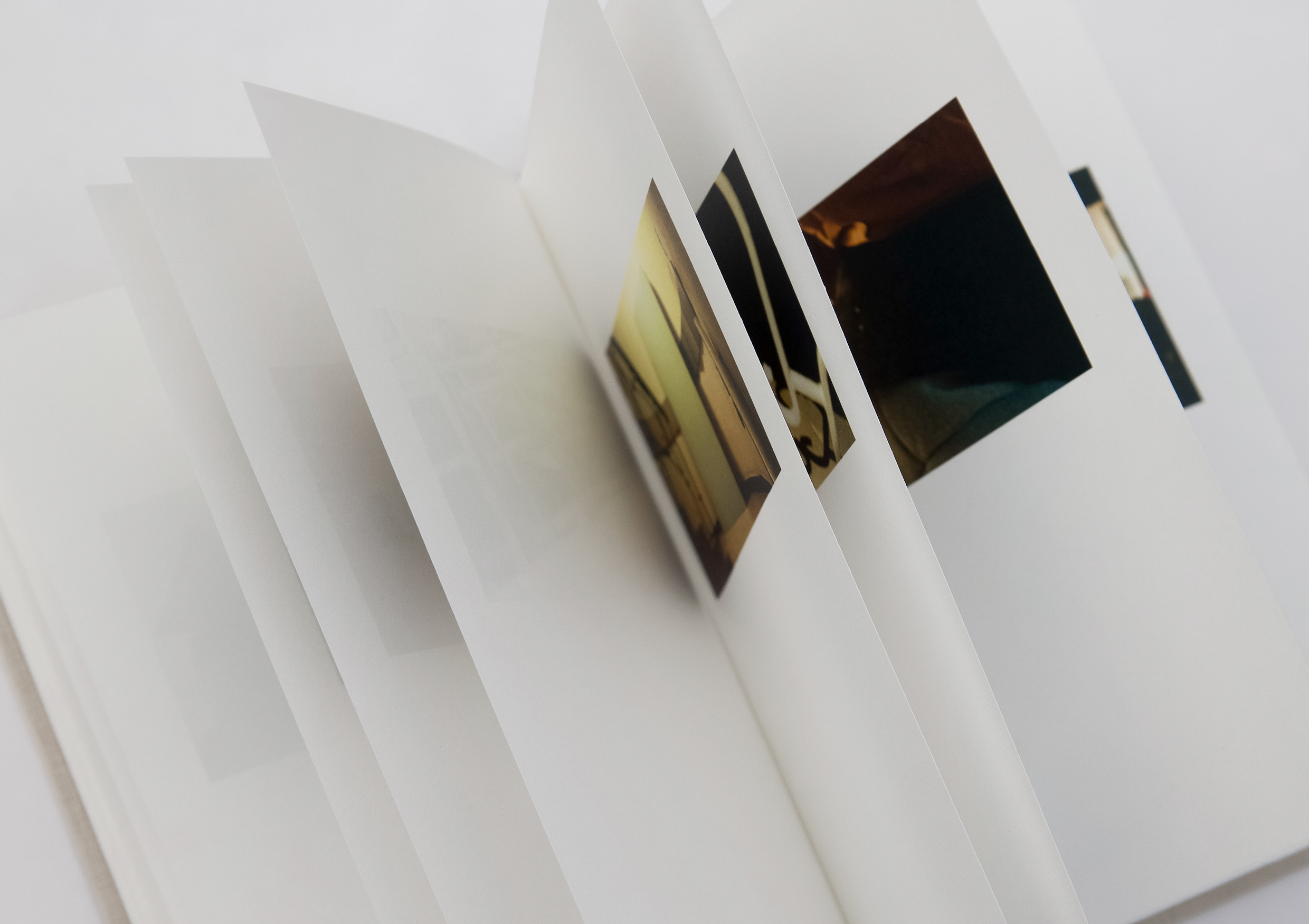 Отпечаток. Юлия Петренко