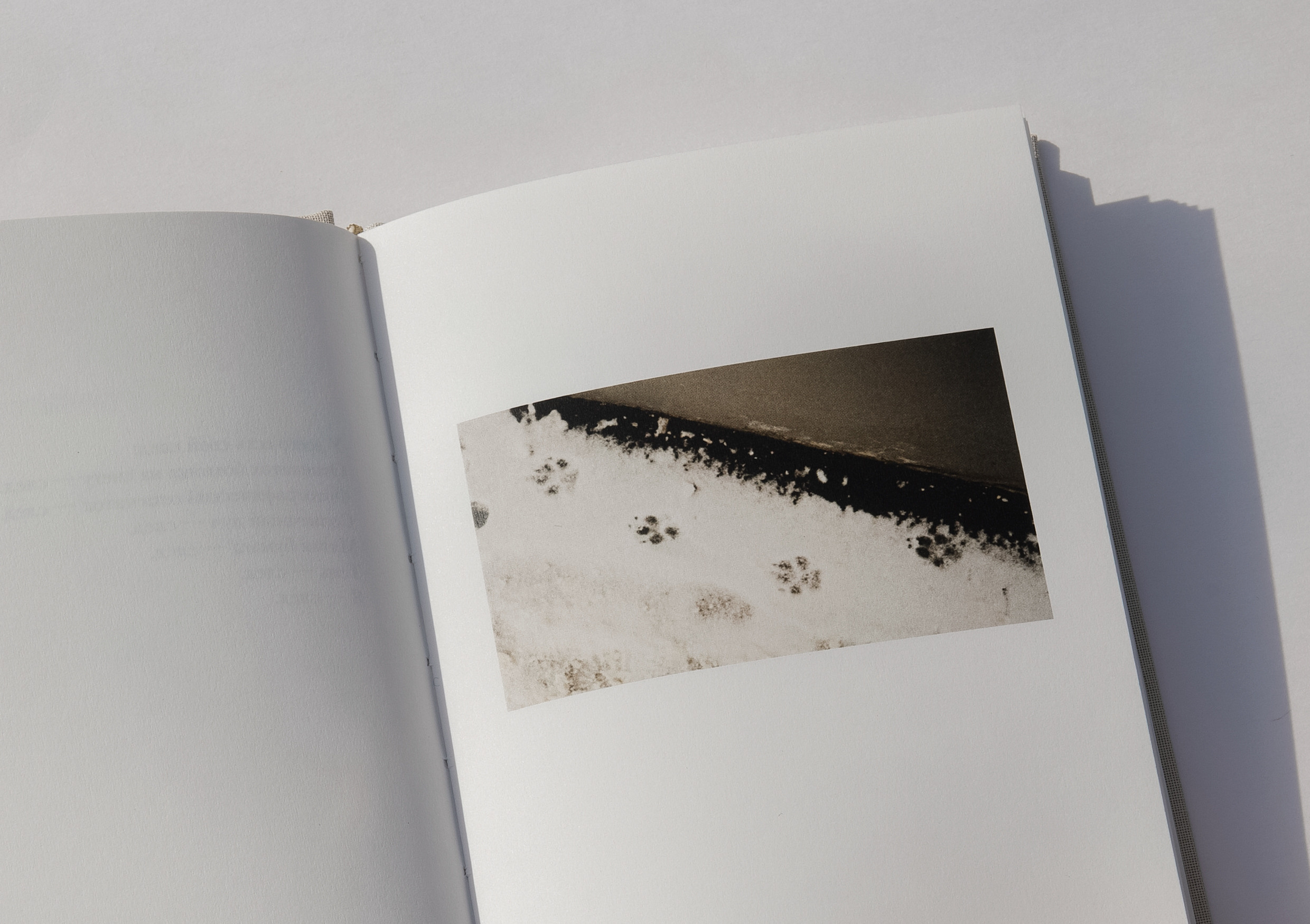 Отпечаток. Юлия Петренко