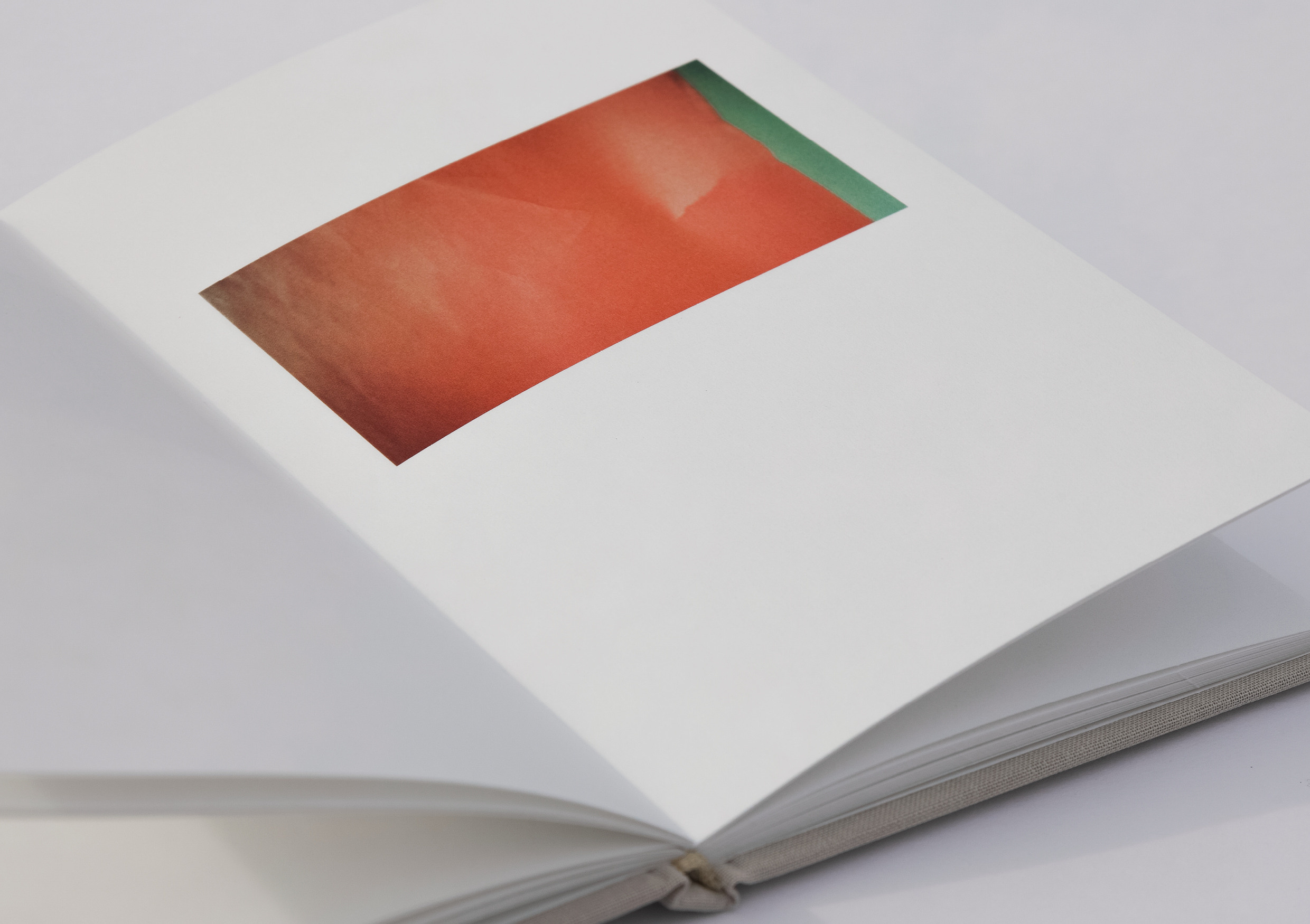 Отпечаток. Юлия Петренко