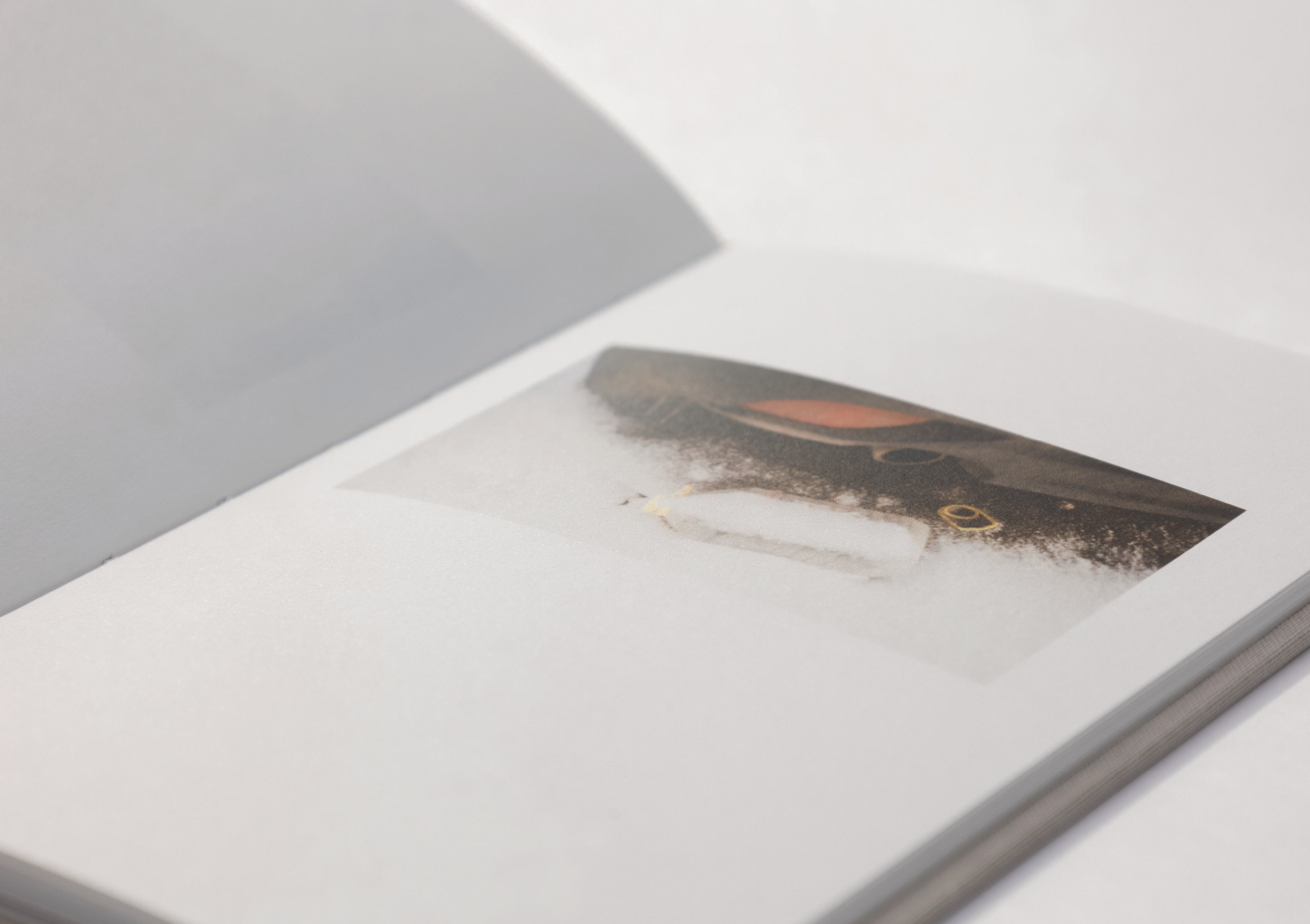 Отпечаток. Юлия Петренко