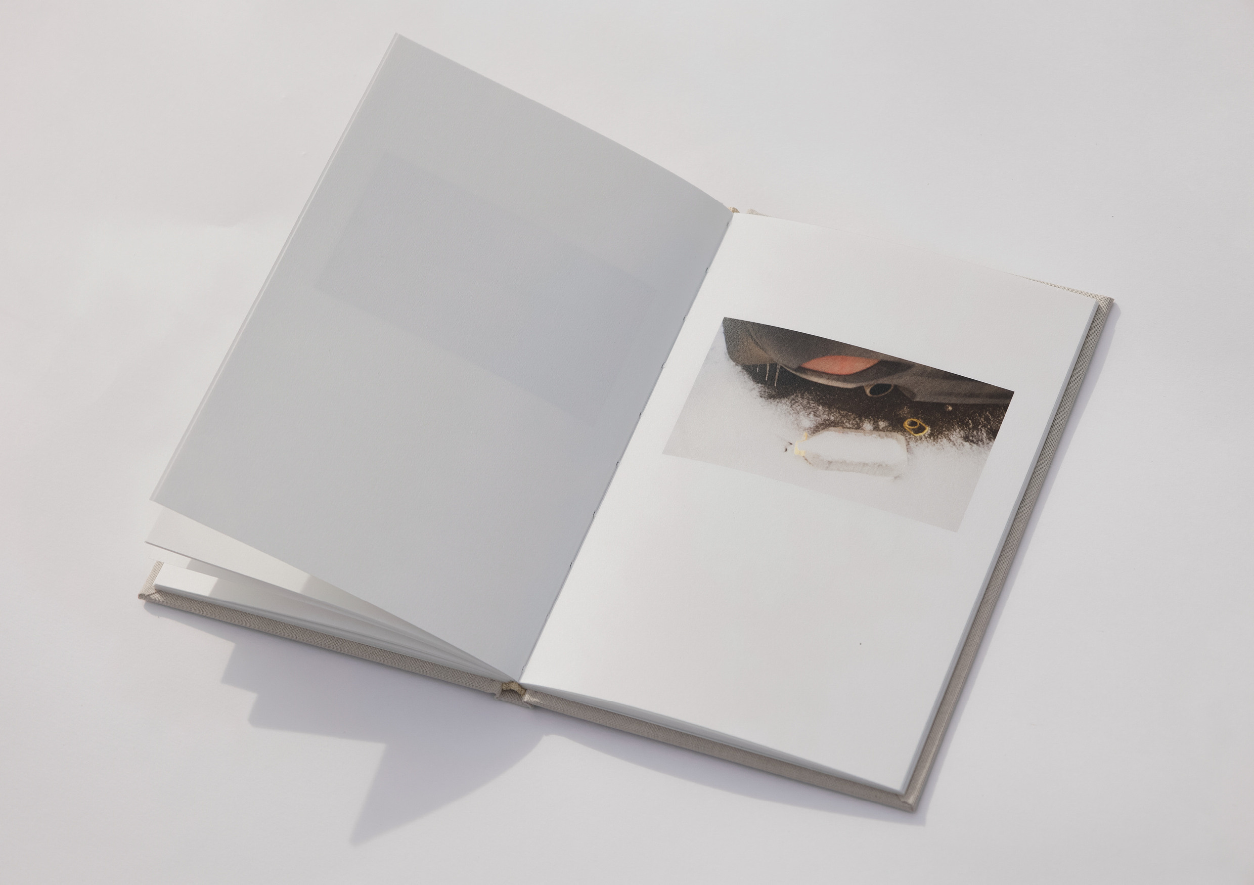 Отпечаток. Юлия Петренко