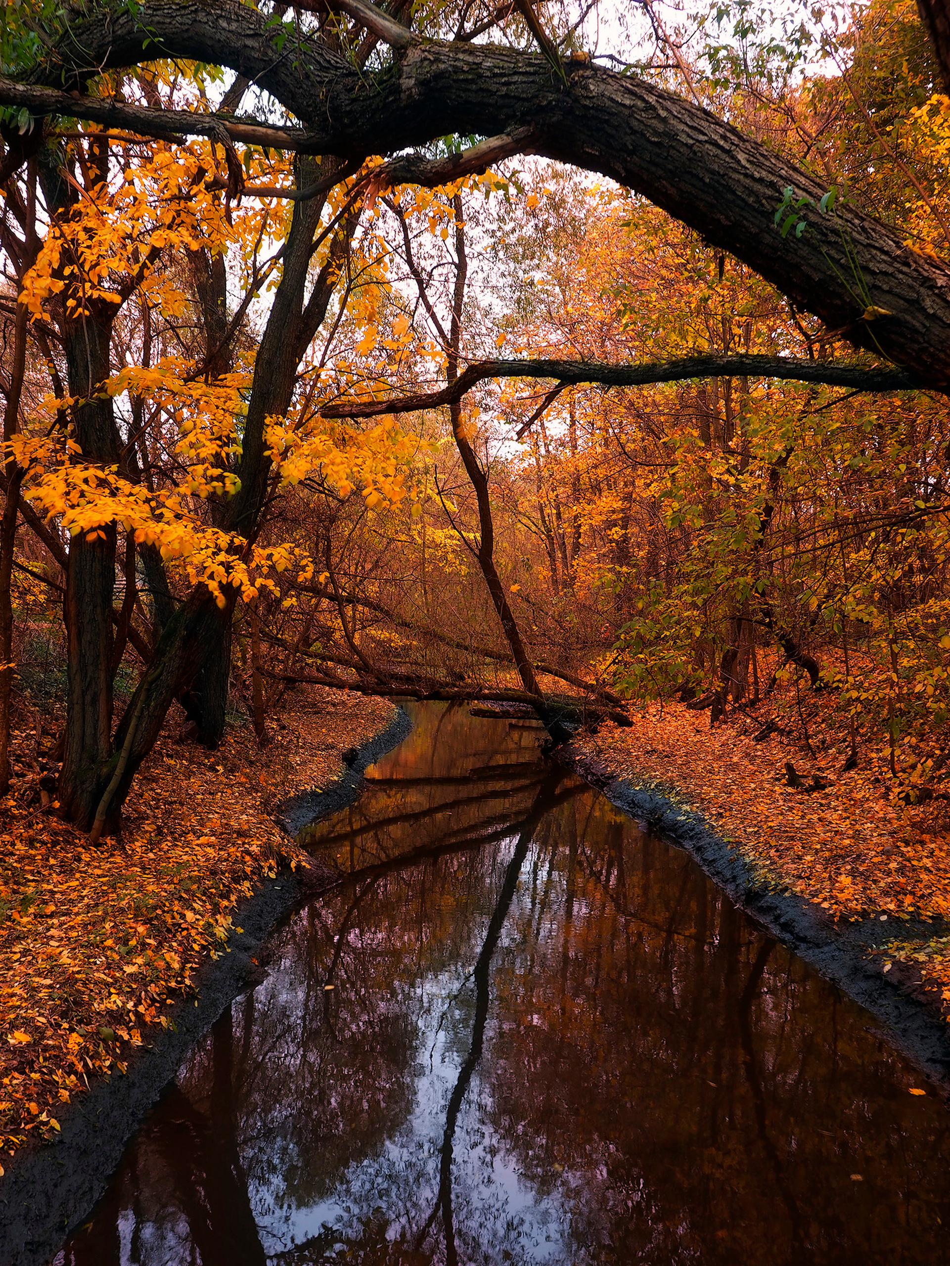 осень, осенняя река, река, речка, ручей, купить фото