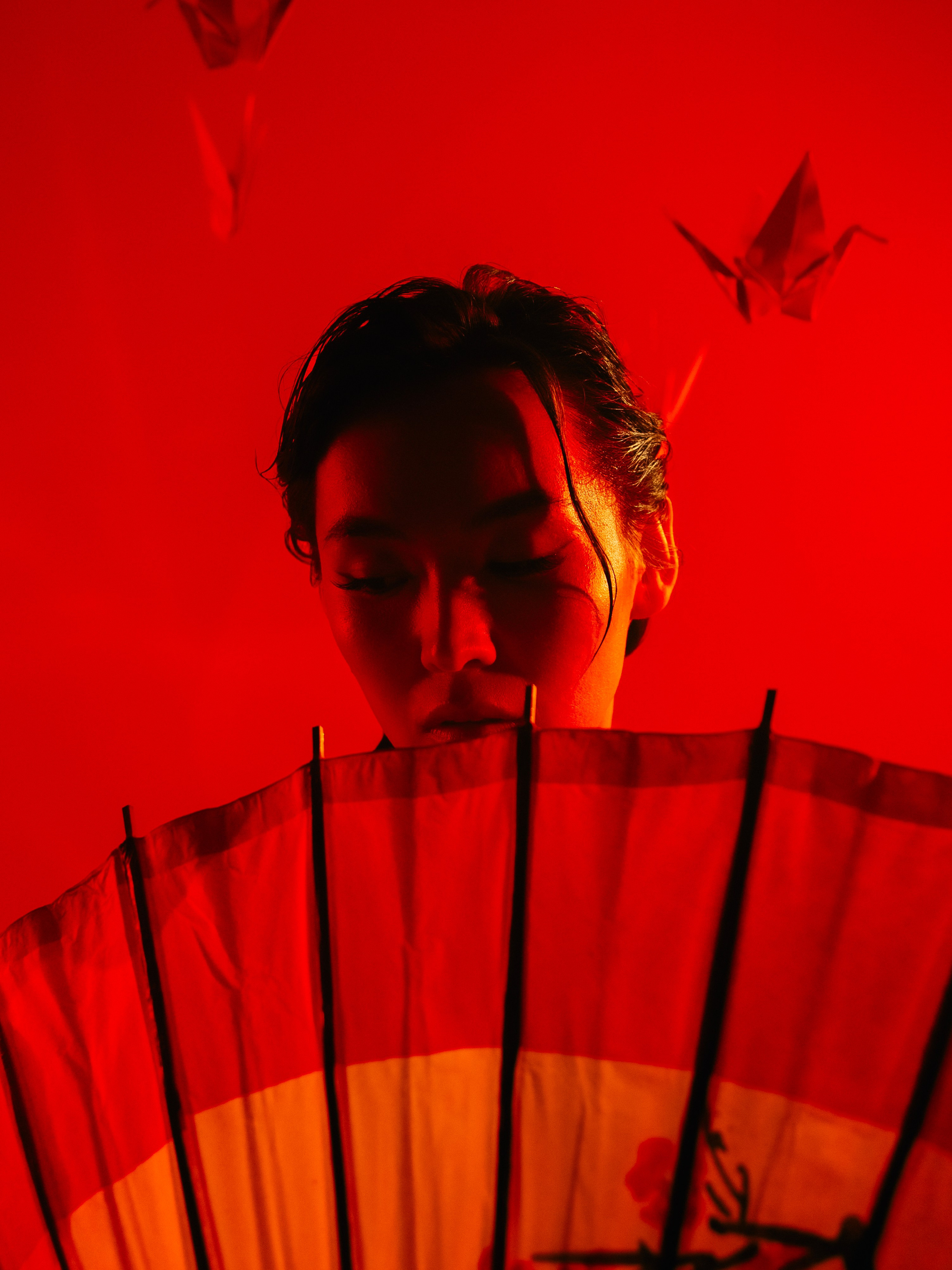 «Тени Киото»