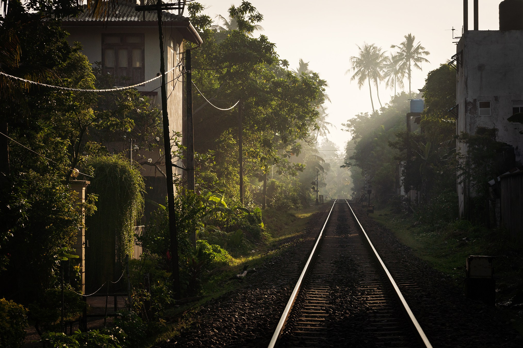 Sri-Lanka. High-quality interior photos for your home, office, hotel