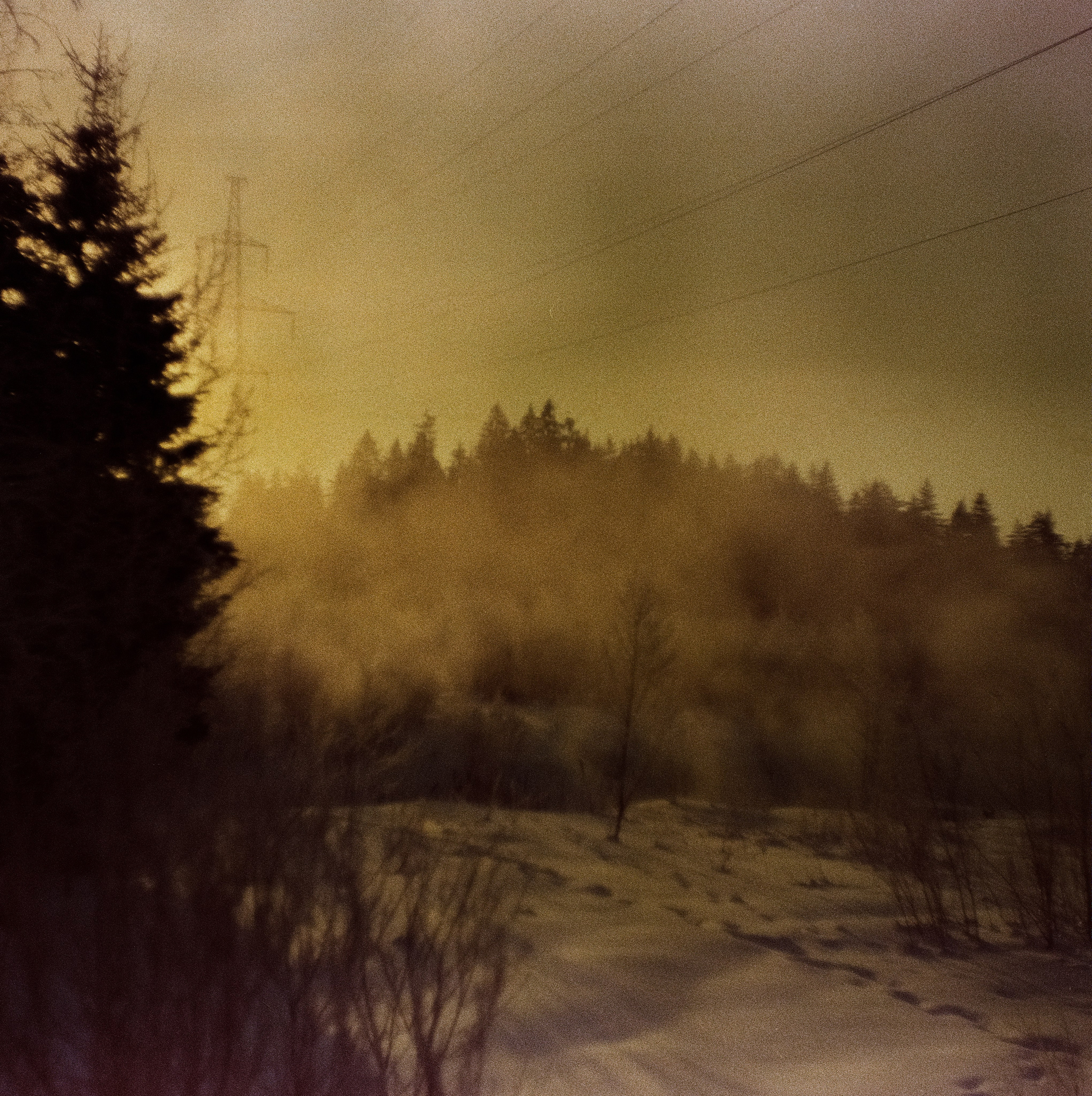 Kodak Ektachrome 64T / Franka Solida III / Архангельское, Лукино