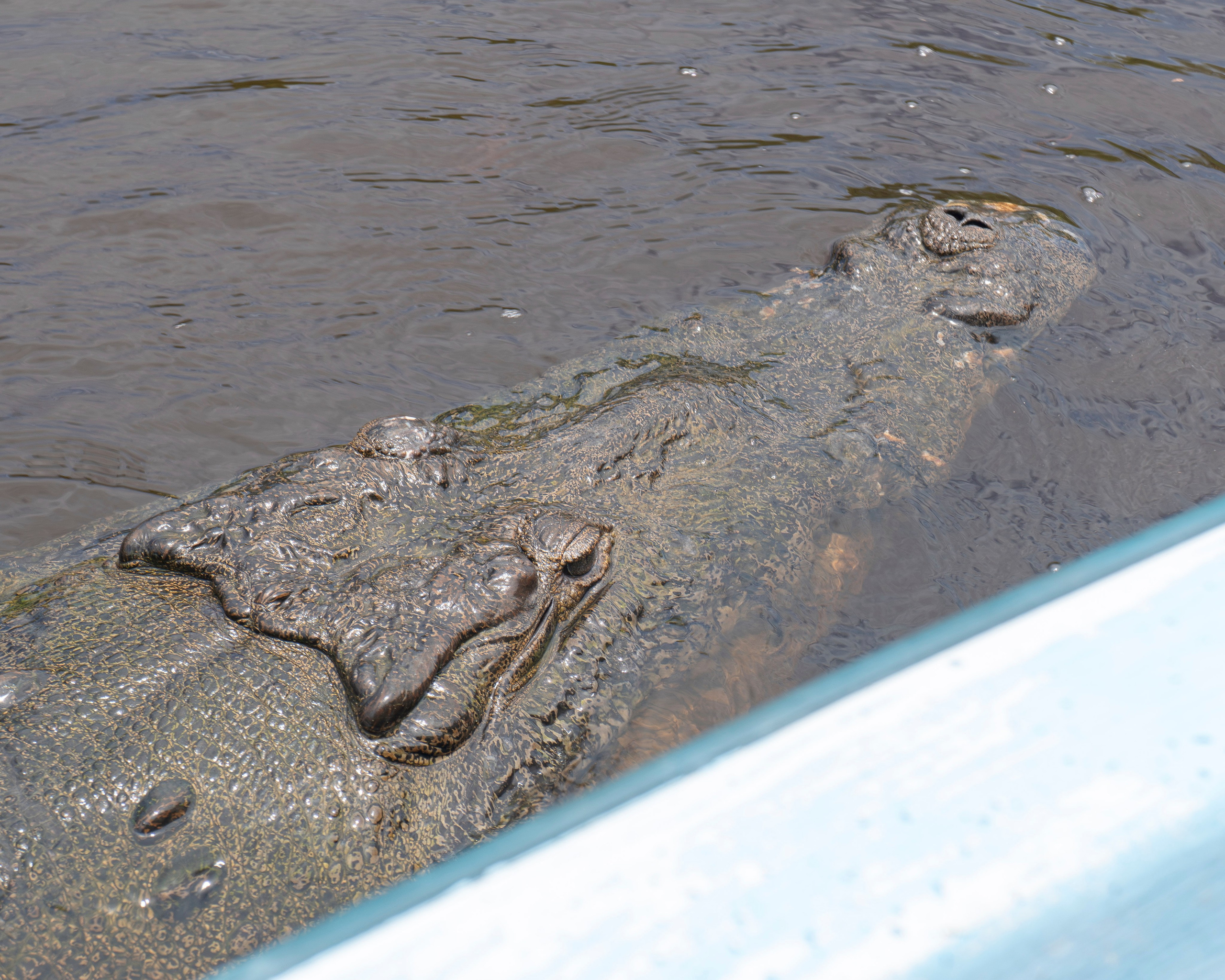 Crocos’ Paradise. CDMX Photography | Alex Klenin| Portrait & Event Photographer