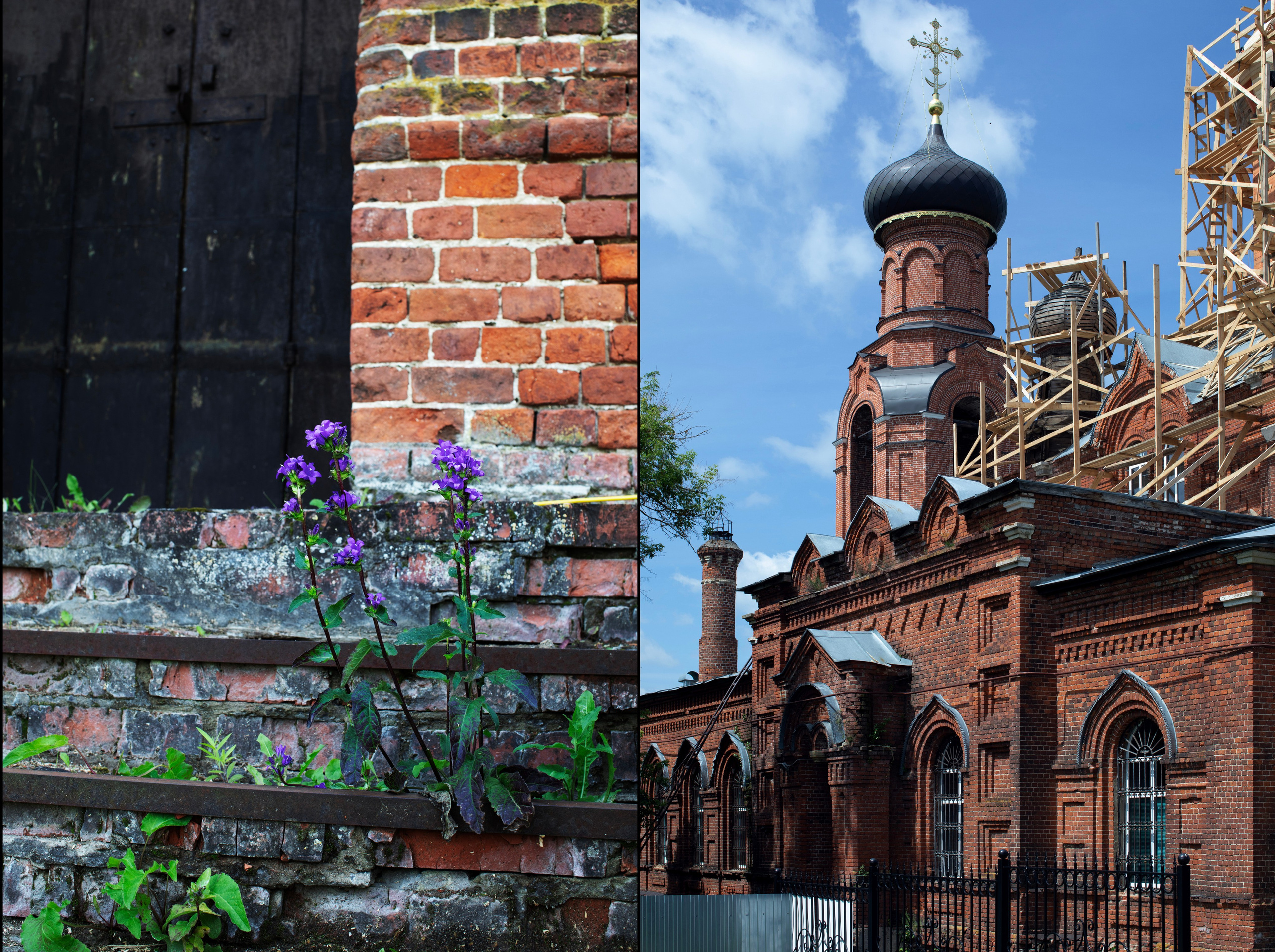Рязань'25. Фотограф-портретист в Москве