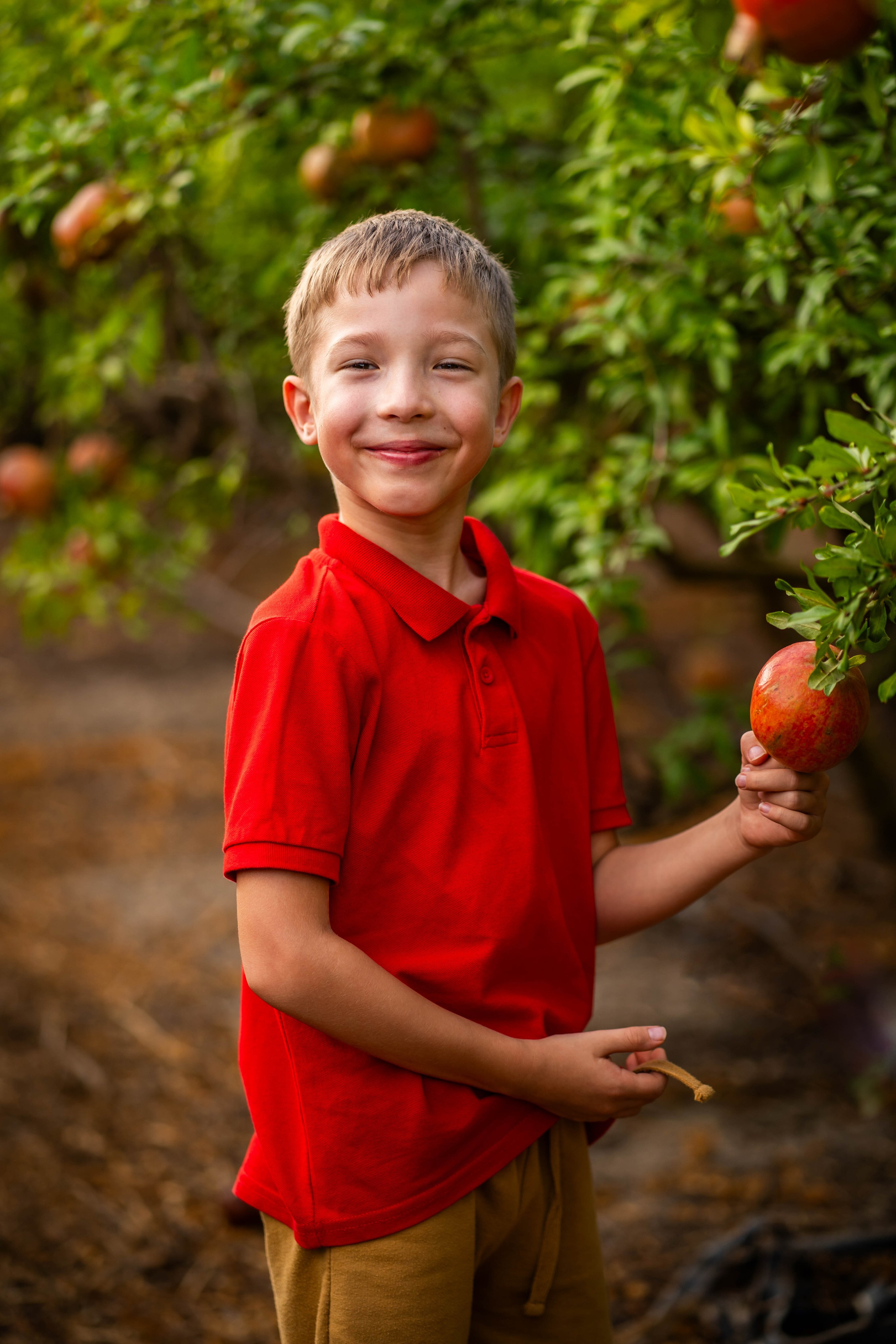 Гранатовый сад. Семейный и детский фотограф в Израиле и Москве Дорошок Надя