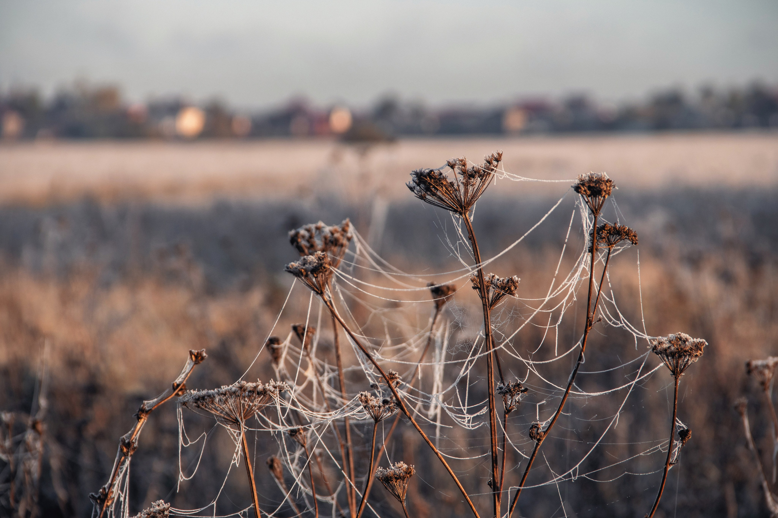 Волшебное утро в первый день октября. С любовью, фотохудожник