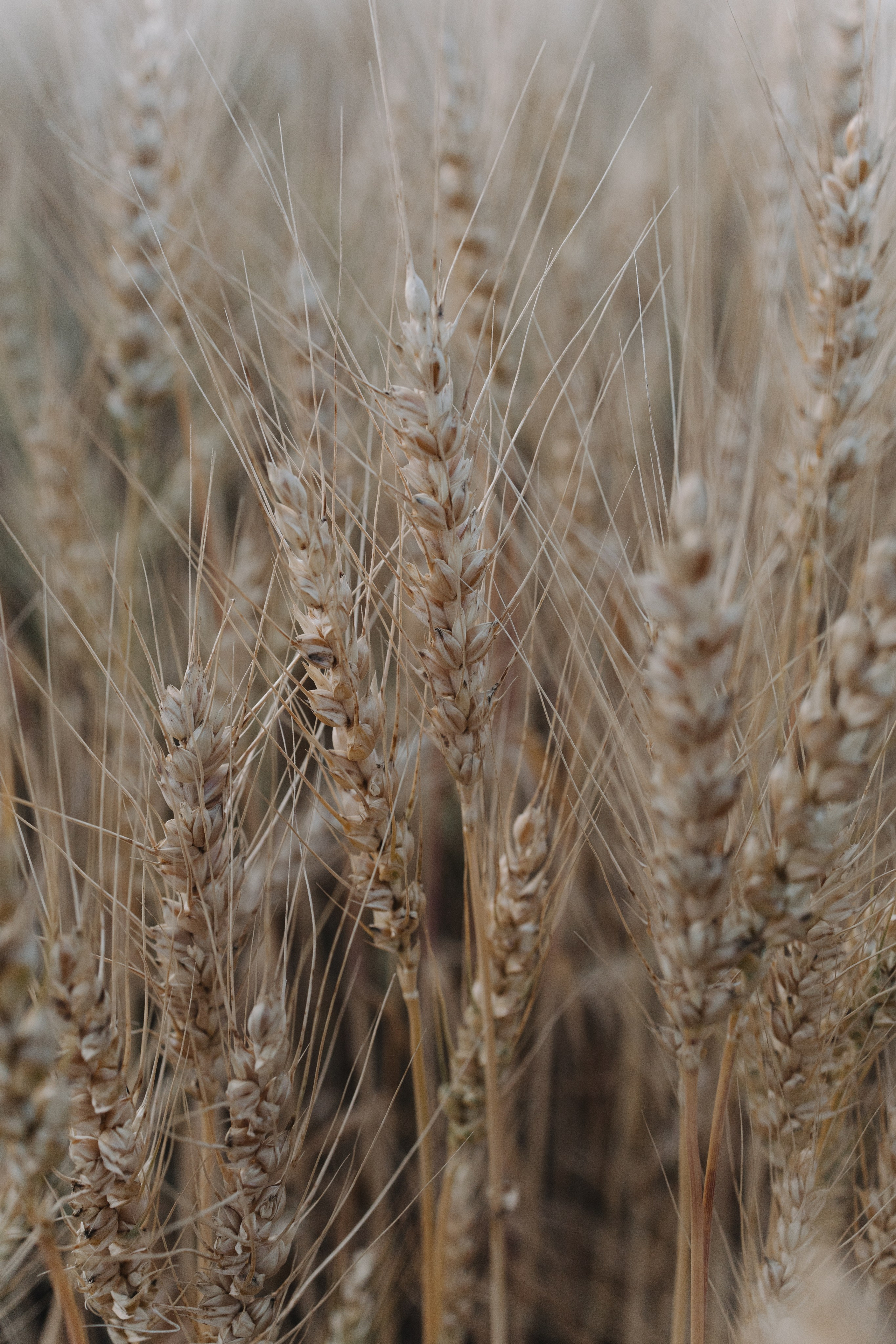 За городом. Про любовь
