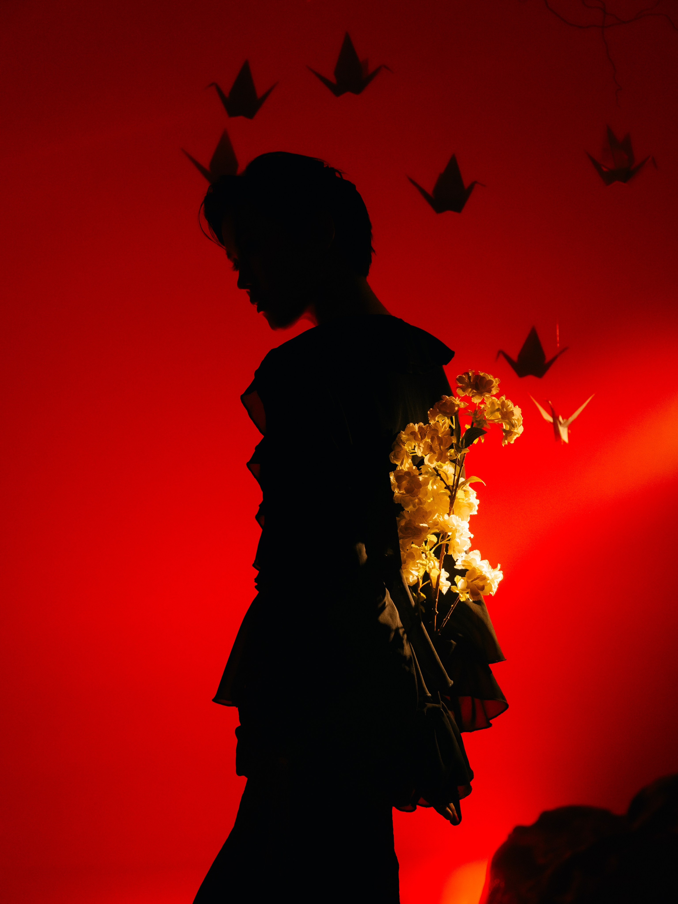 «Тени Киото»