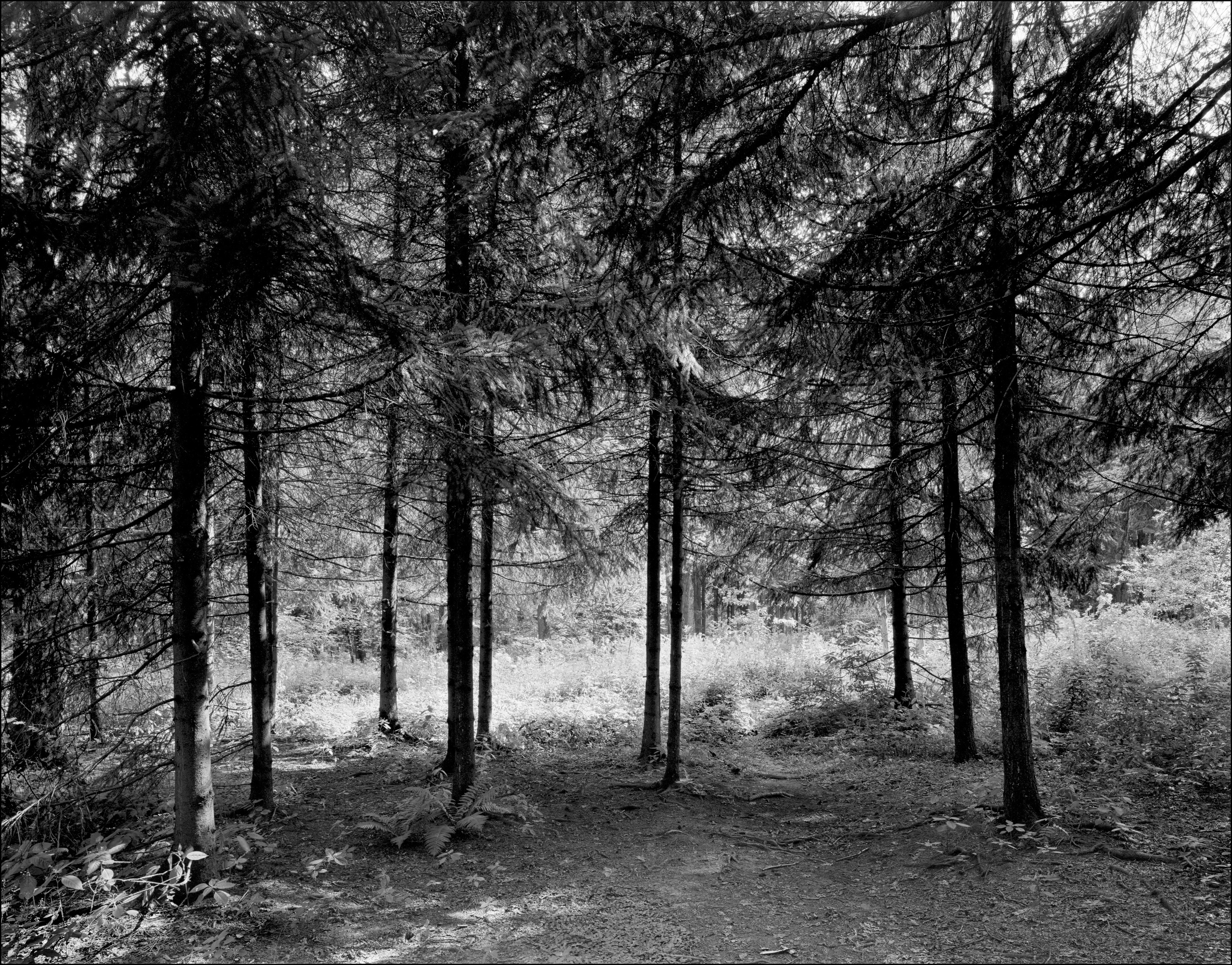 Sergey Kondriuk art-photographer | artist