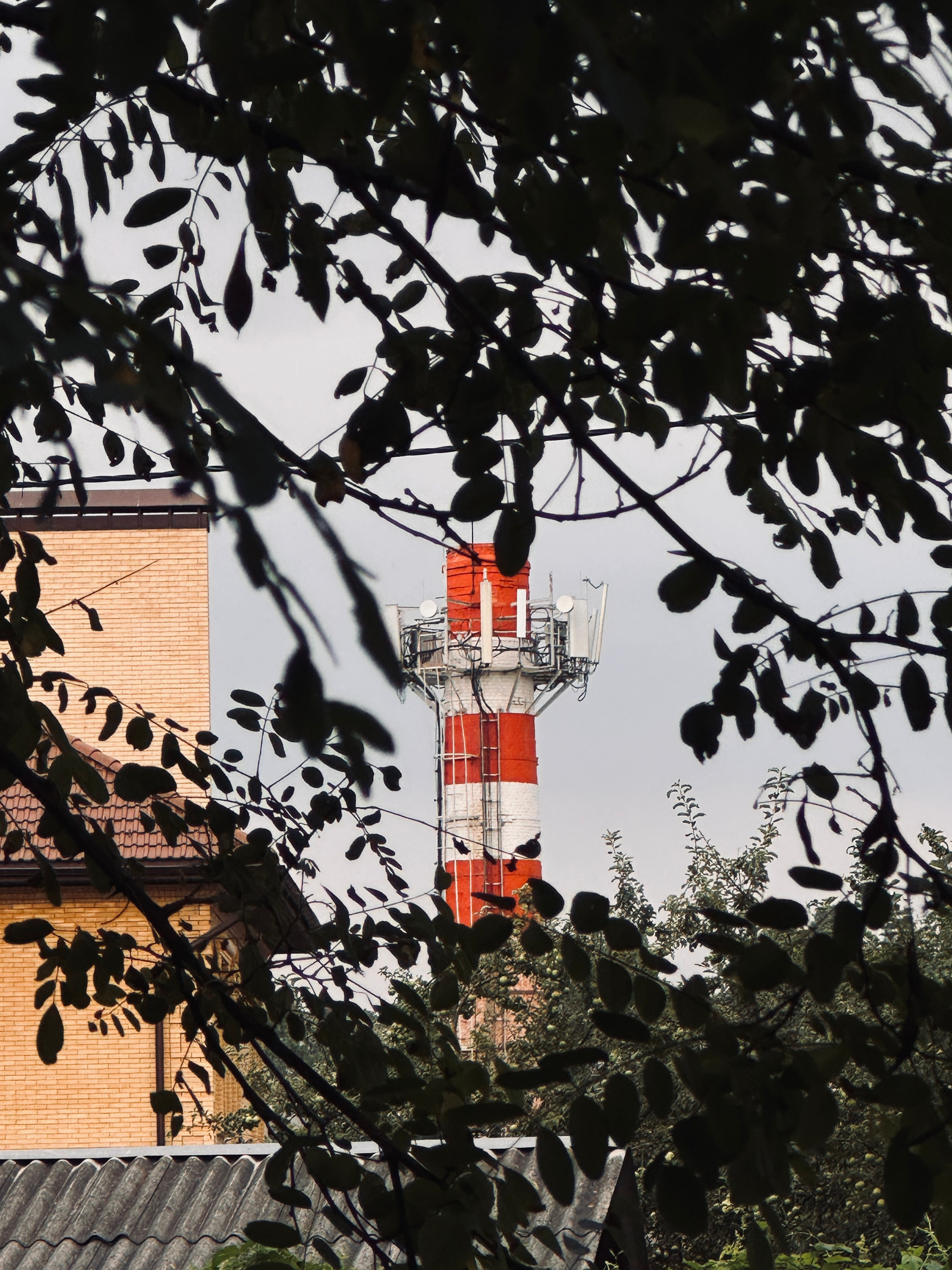 Кисловодск. Смотри, красота!