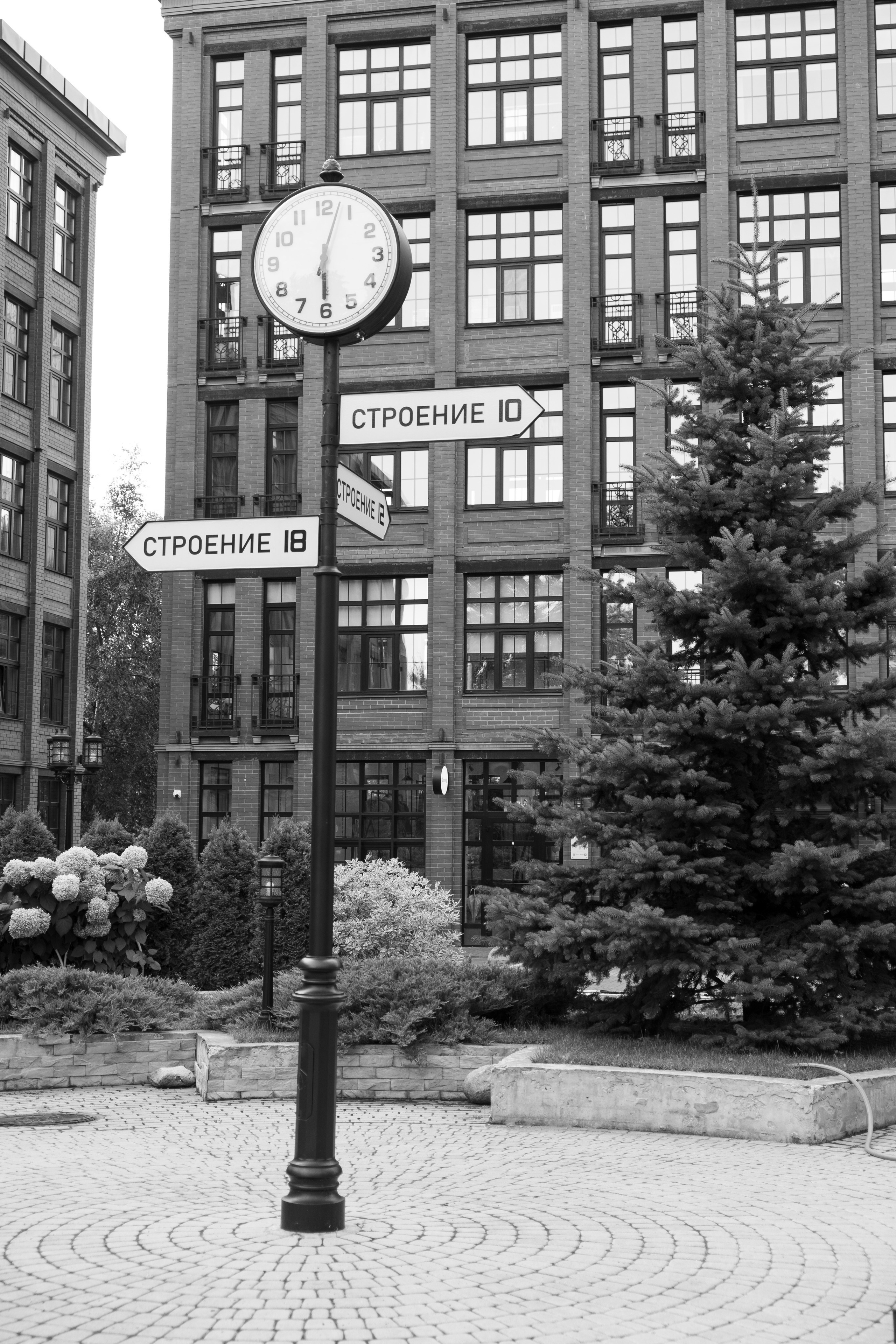 Фотограф в Москве | Мария Макарова