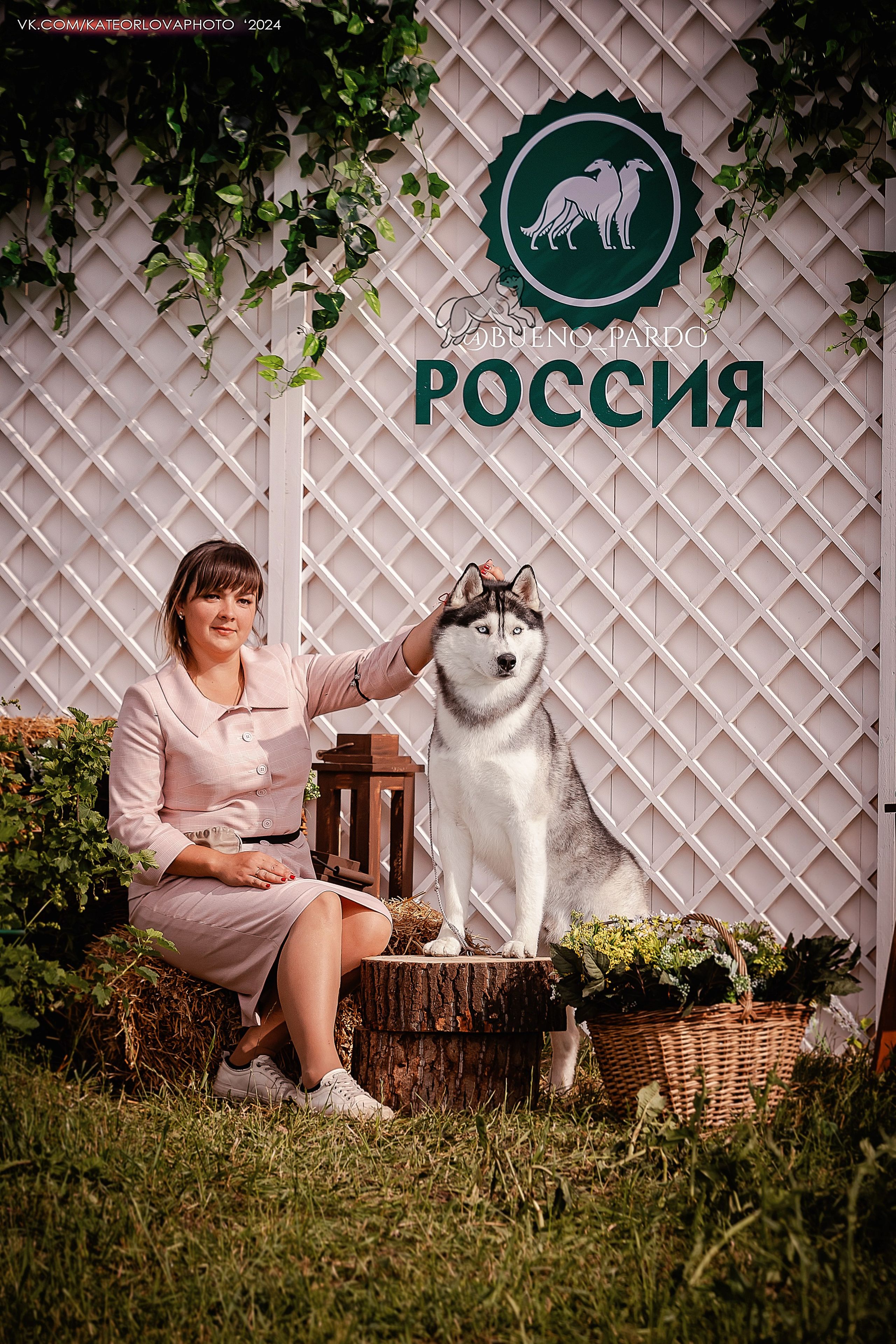 Собаки питомника Bueno Pardo. Питомник собак Акита, Хаски, Корги