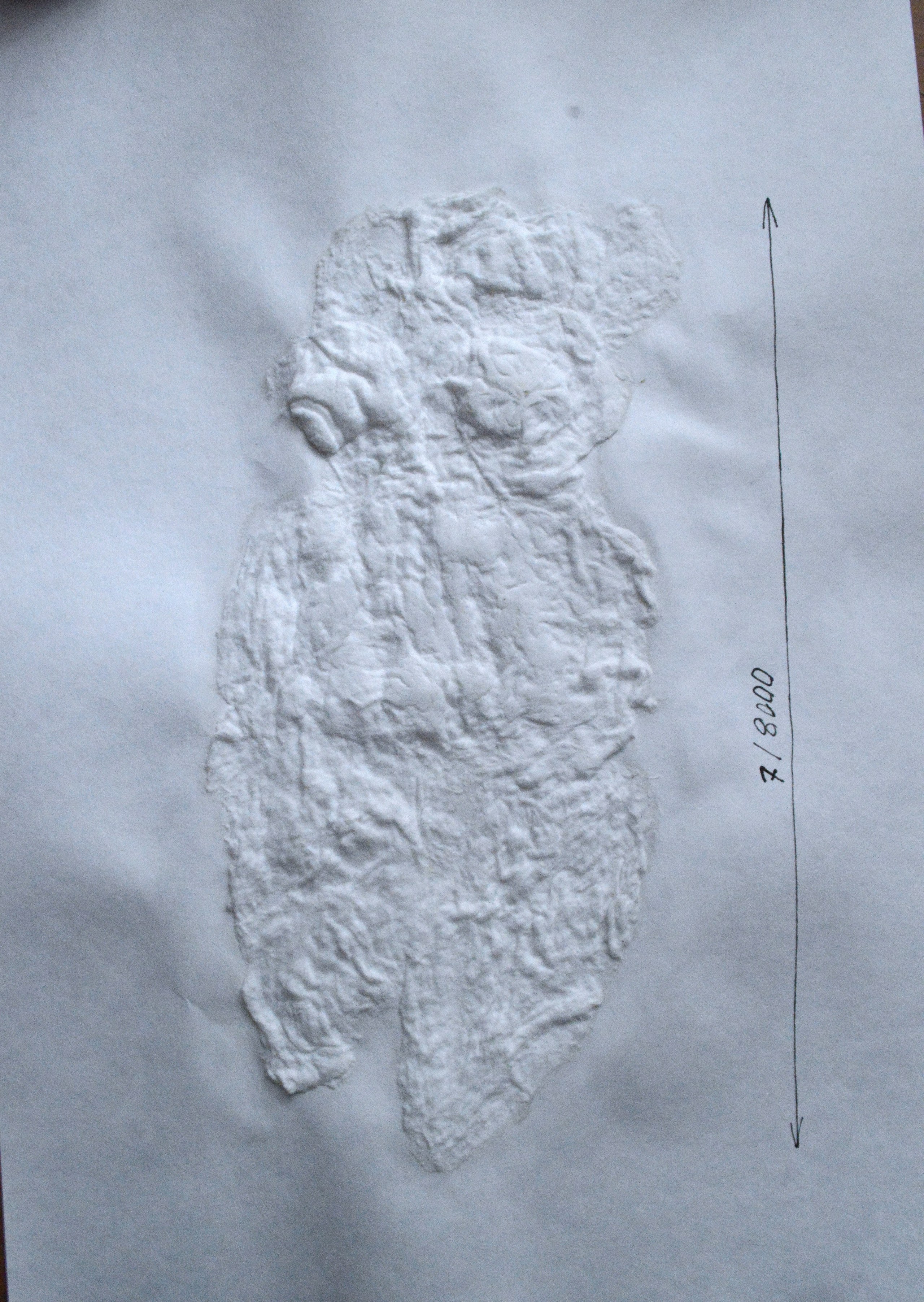 8000. 2025. Лилия Ким. Междисциплинарный художник