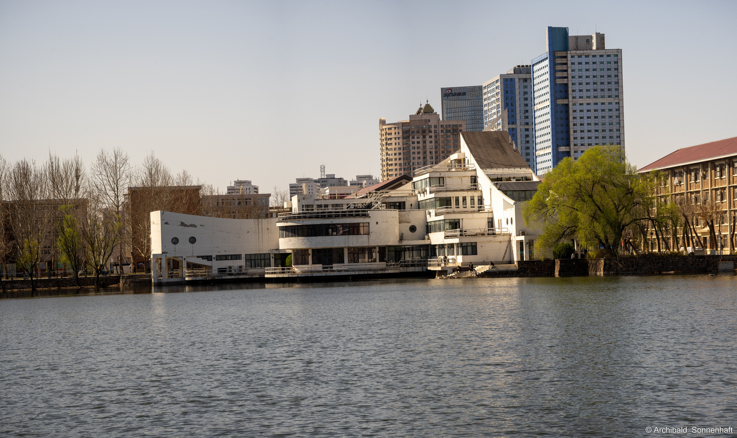 Ducks in Tianjin University’s Lake. Photographer in Guangzhou, China. Archibald Sonnenhaft
